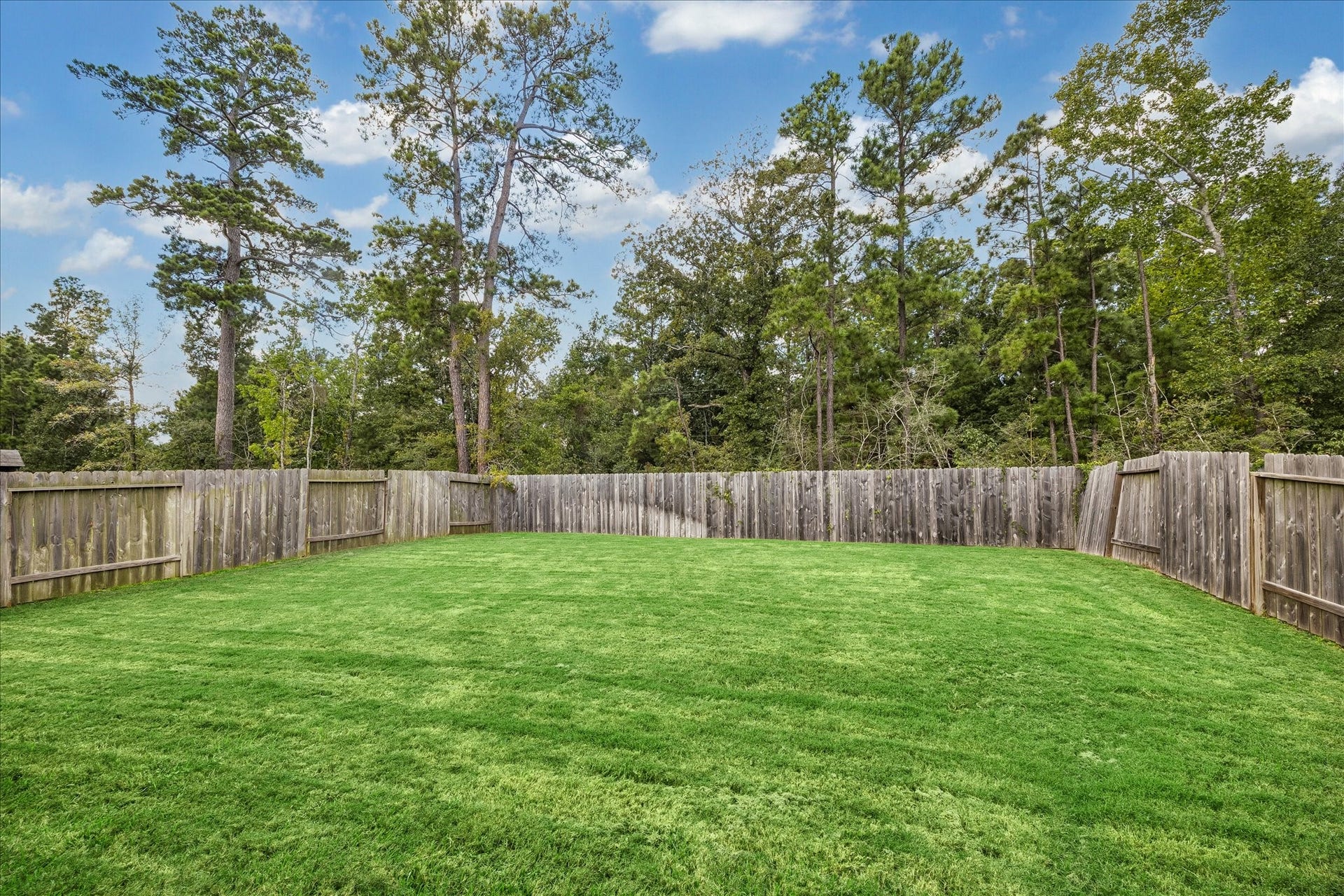14249 Wonder Lake Lane, Conroe, TX 77384 The backyard is truly a blank canvas! Great space to add a pool or large patio area.