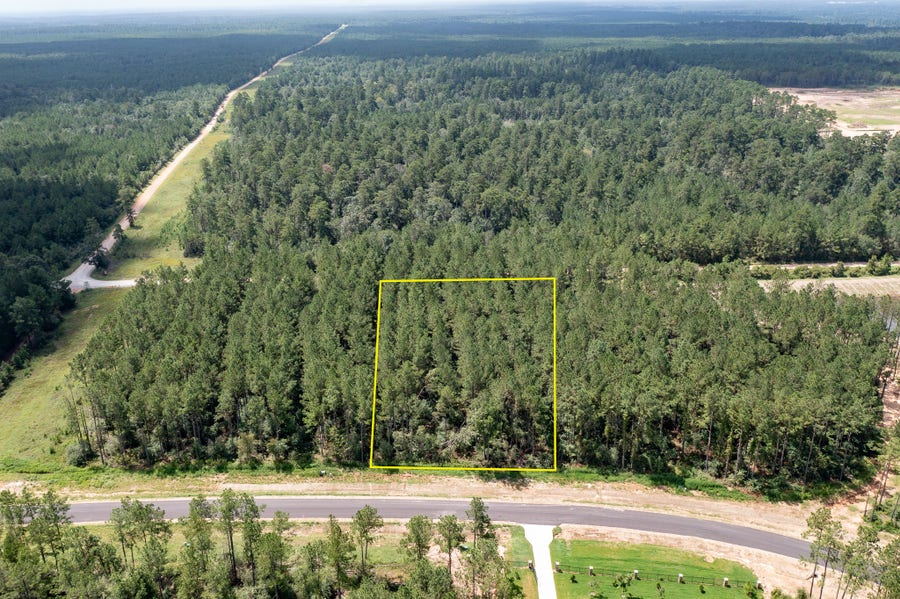 Property photo for 15291 Forest Grove Drive, Willis, TX