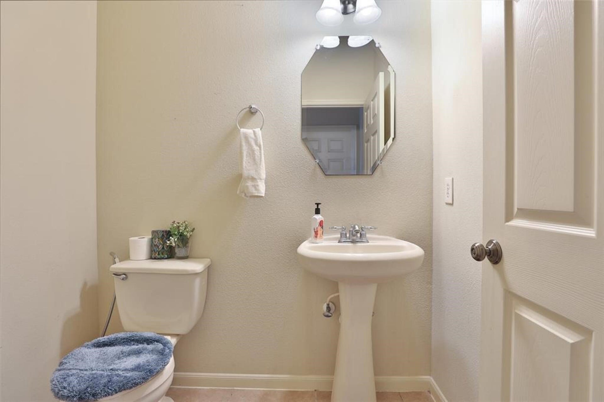 28103 Canyon Wren Drive, Katy, TX 77494 28103 Canyon Wren Drive, Katy, TX 77494