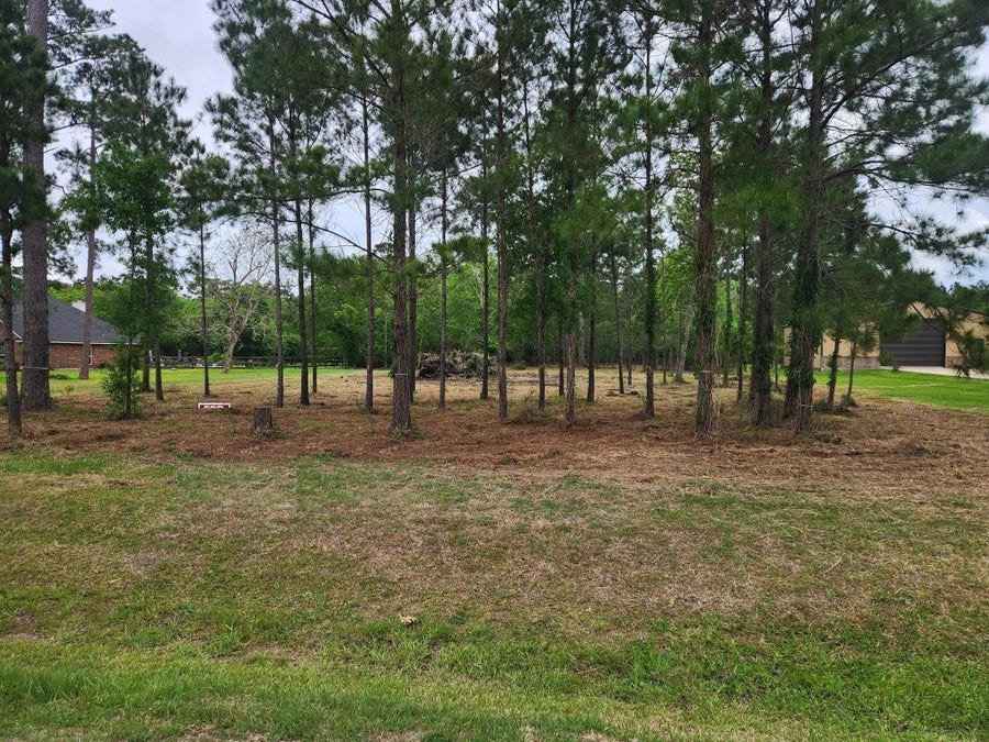 Property photo for 7203 Bayou Timbers Drive, Alvin, TX