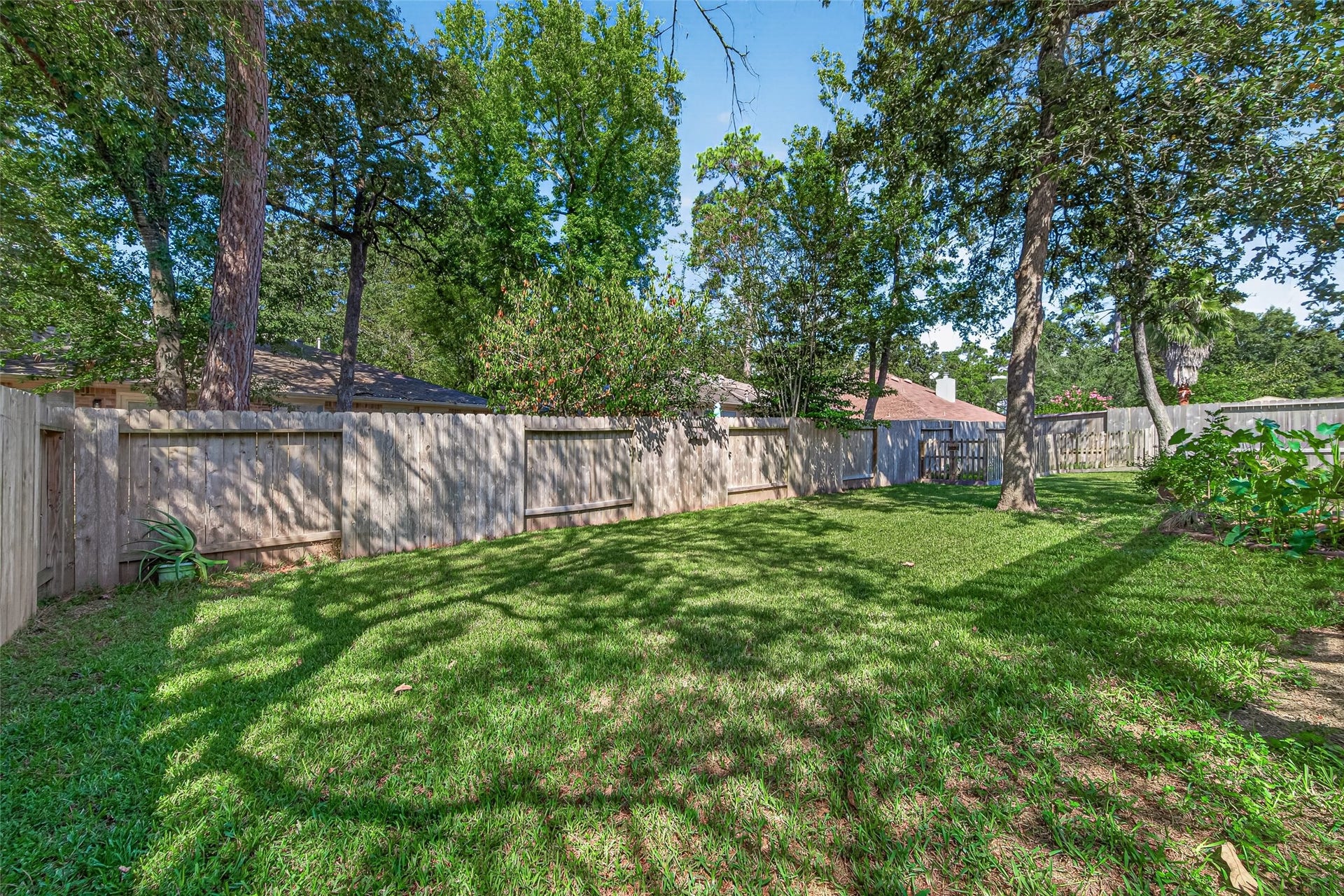 Tree-shaded backyard offering additional green space for outdoor enjoyment.