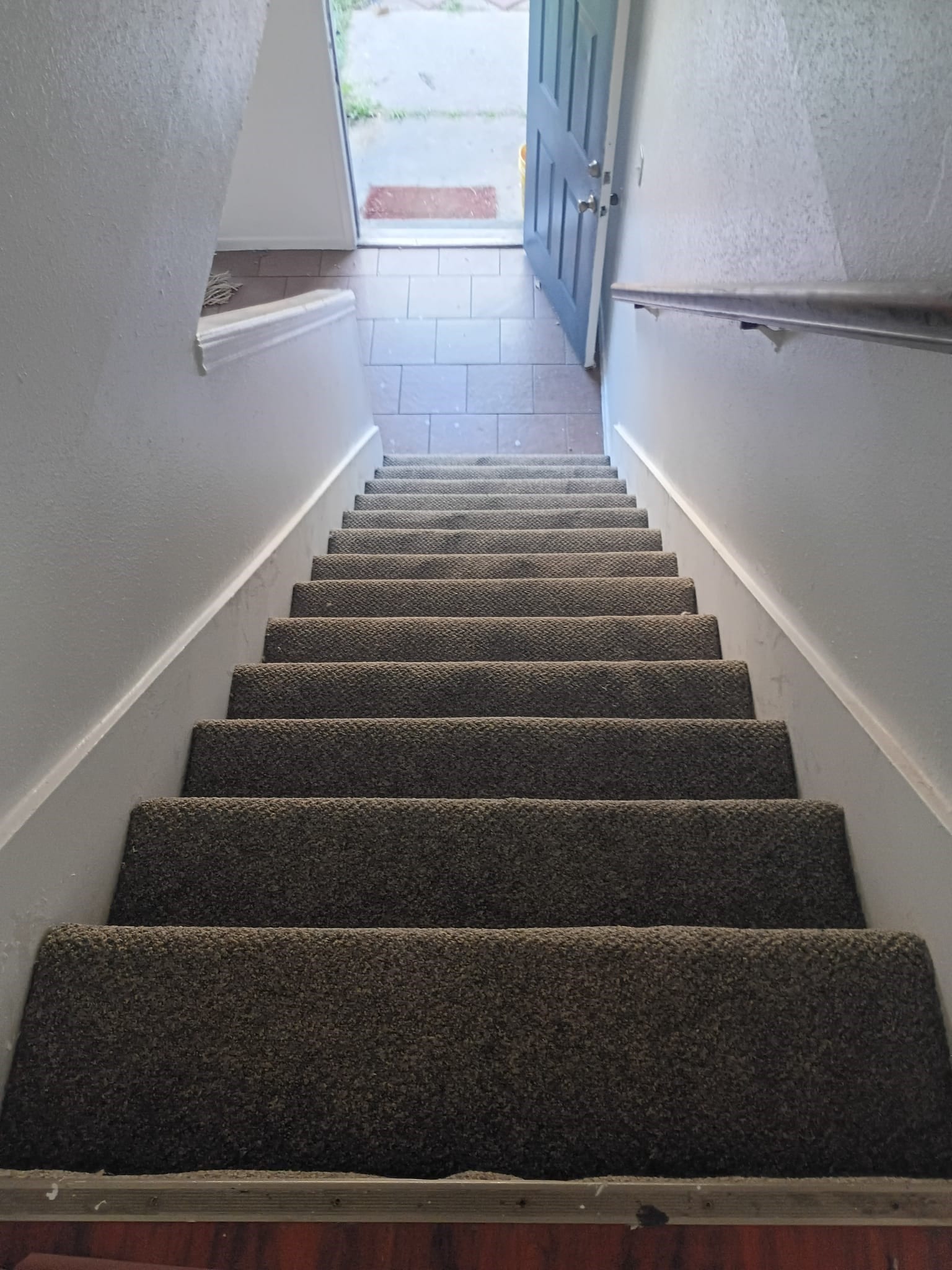NEW Carpet!!