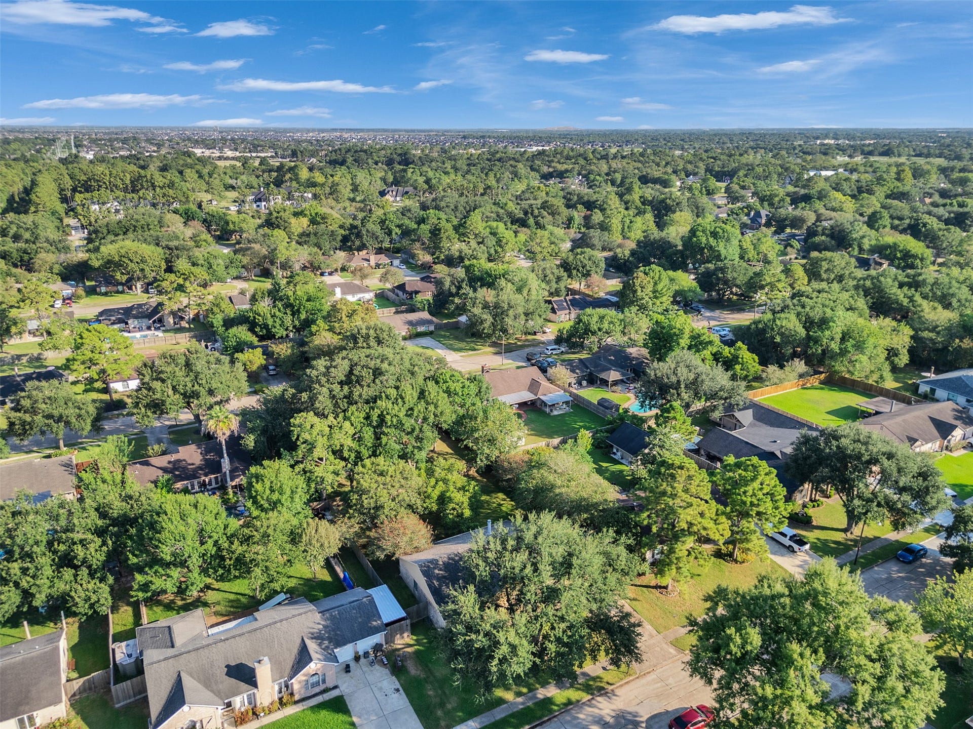 1208 Piney Woods Drive, Friendswood, TX 77546 1208 Piney Woods Drive, Friendswood, TX 77546