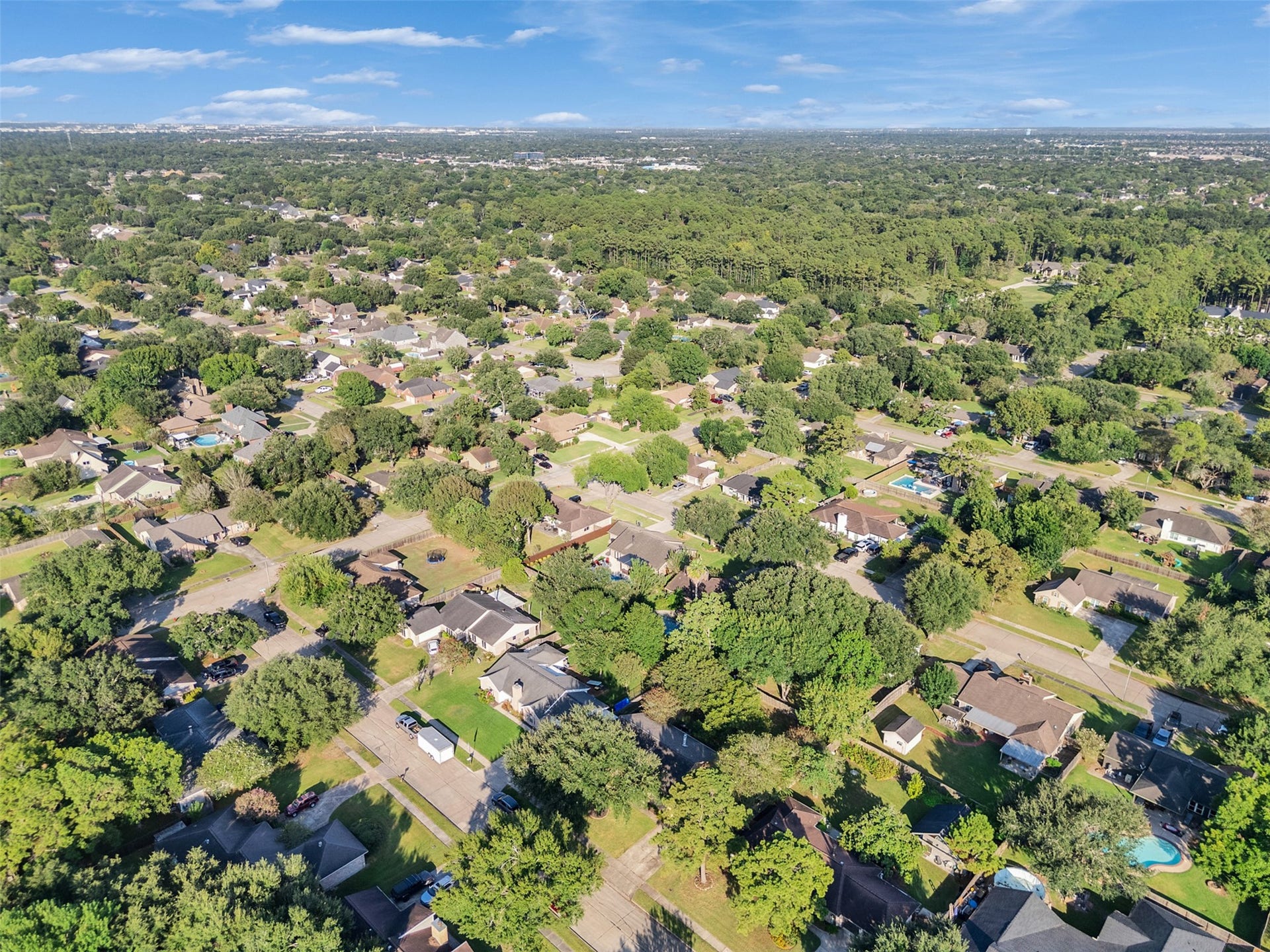 1208 Piney Woods Drive, Friendswood, TX 77546 1208 Piney Woods Drive, Friendswood, TX 77546