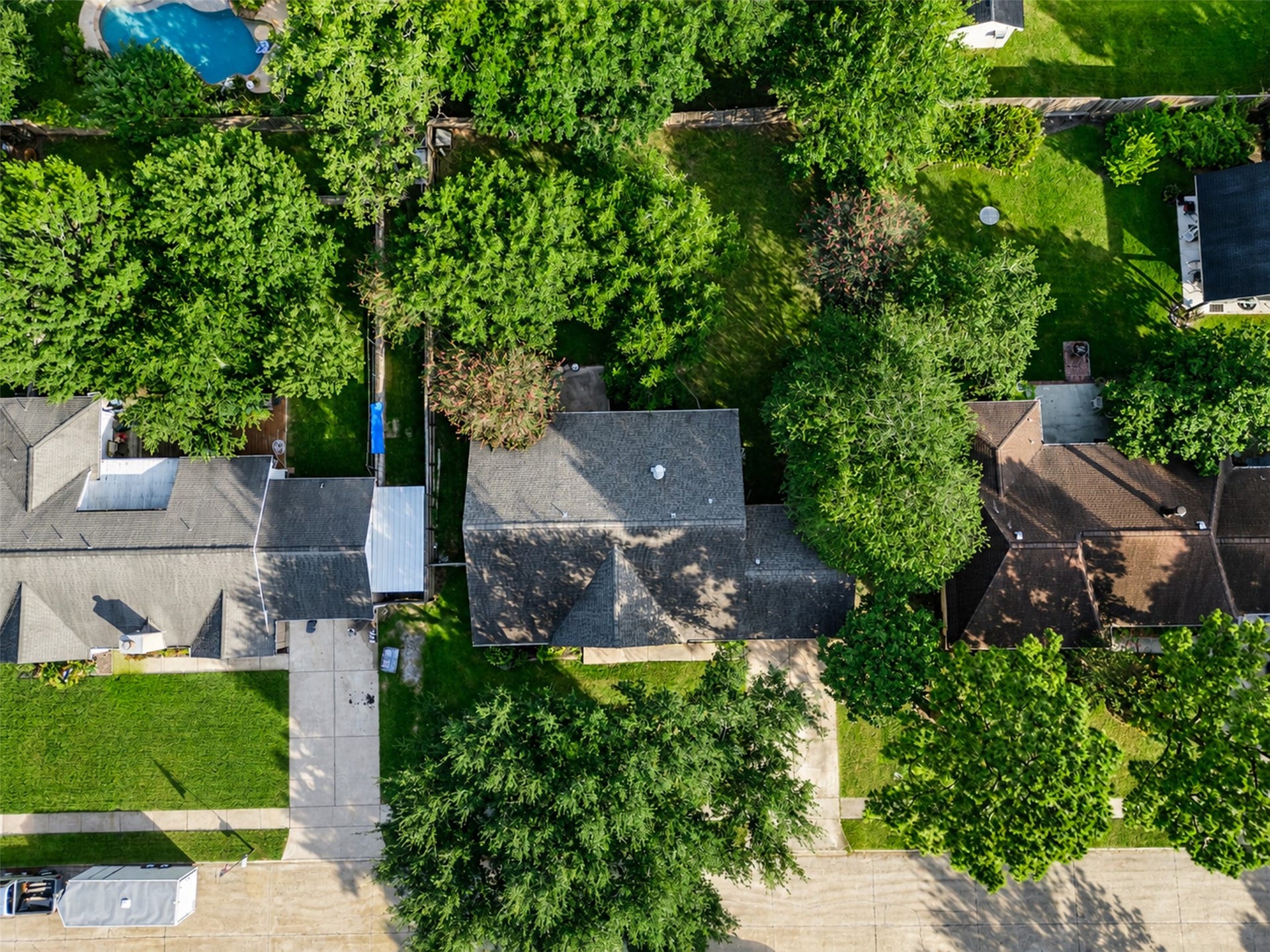 1208 Piney Woods Drive, Friendswood, TX 77546 1208 Piney Woods Drive, Friendswood, TX 77546