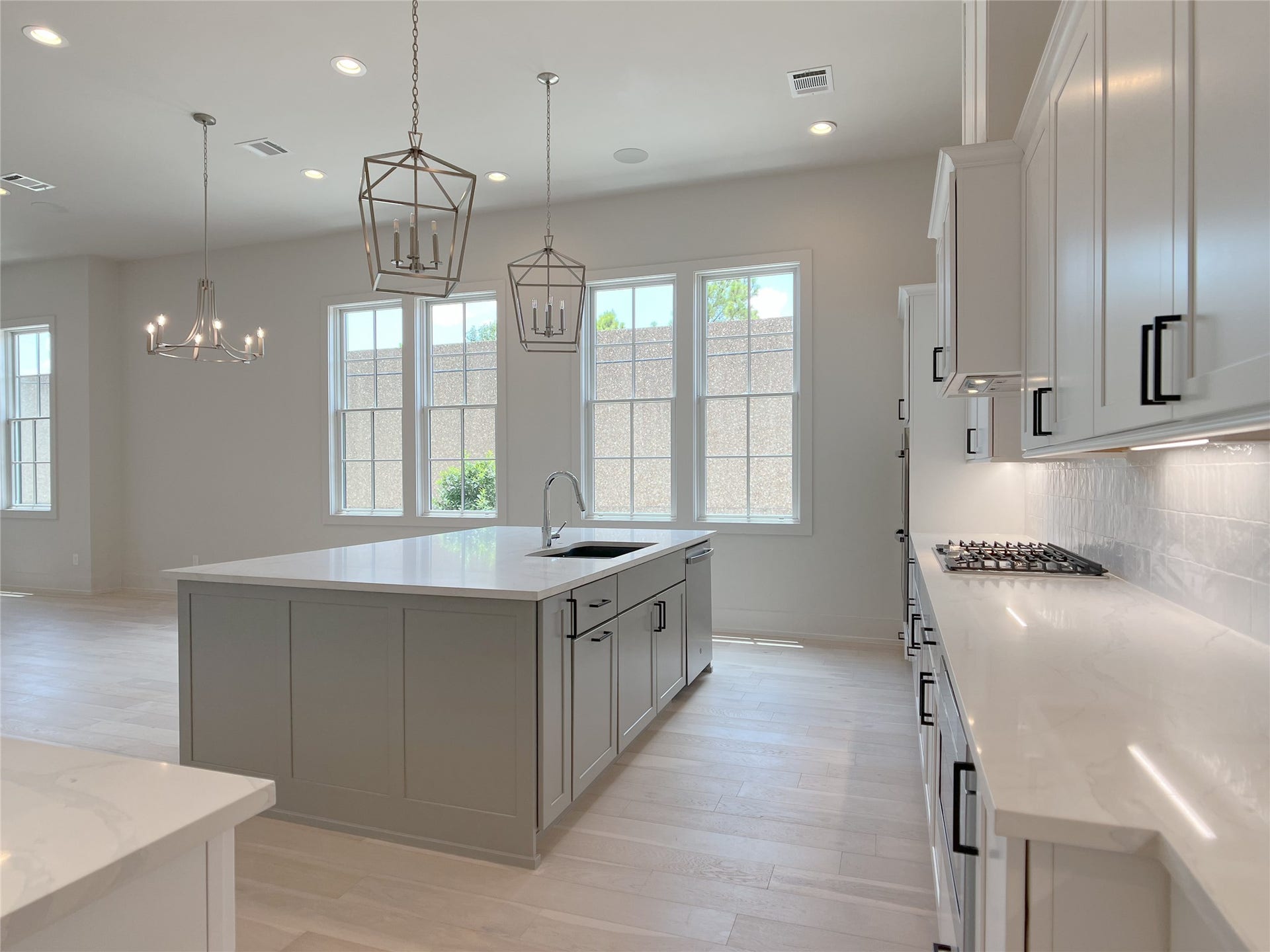 modern black pulls on the numerous cabinets