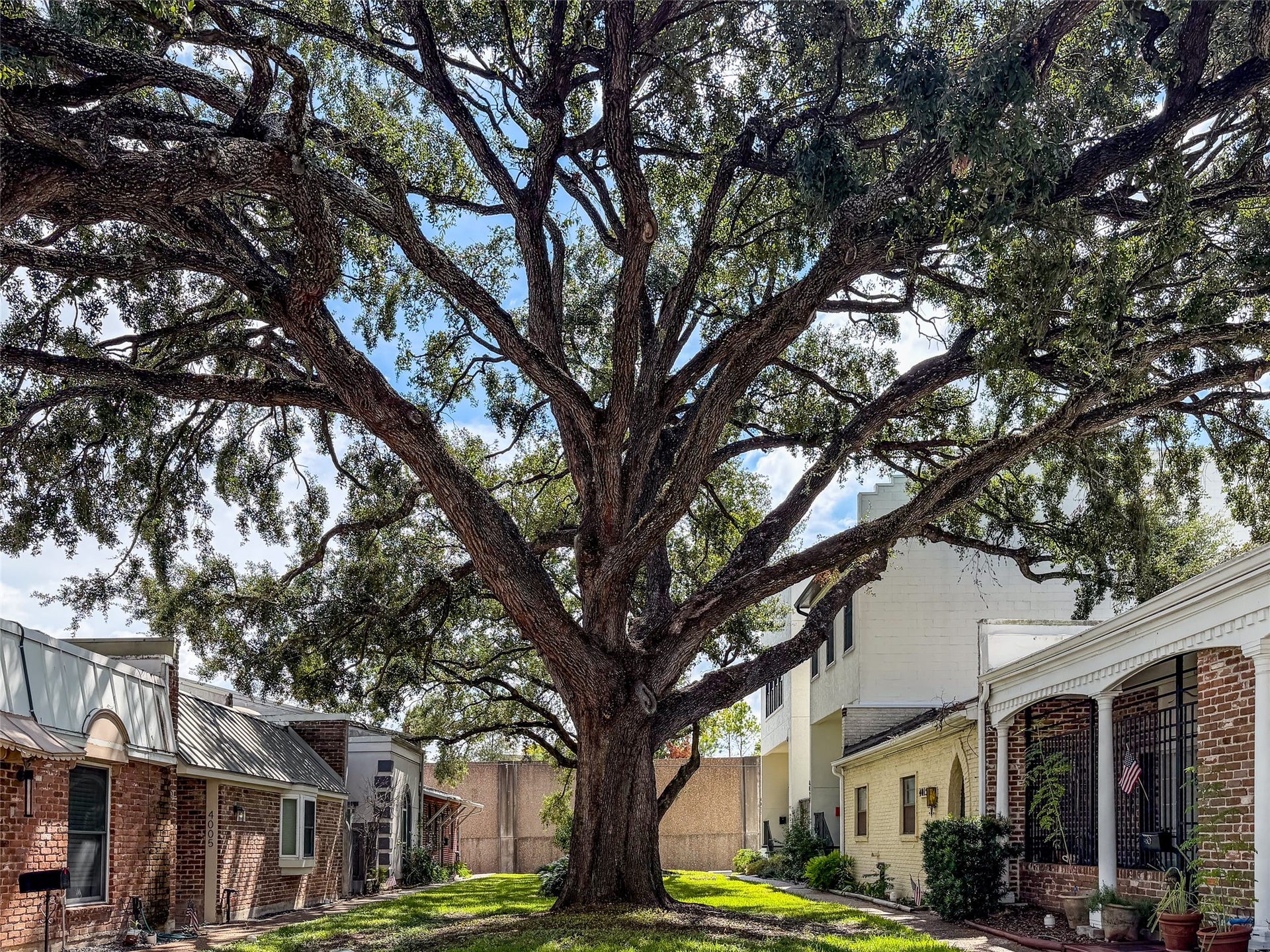 Massive oak tree in courtyard out front provides shade and breathtaking beauty.