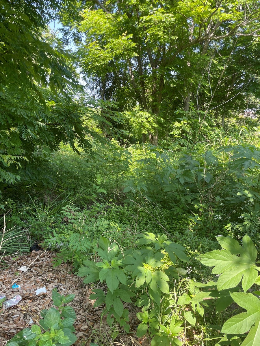 Property photo for 3507 Kimball Street, Houston, TX