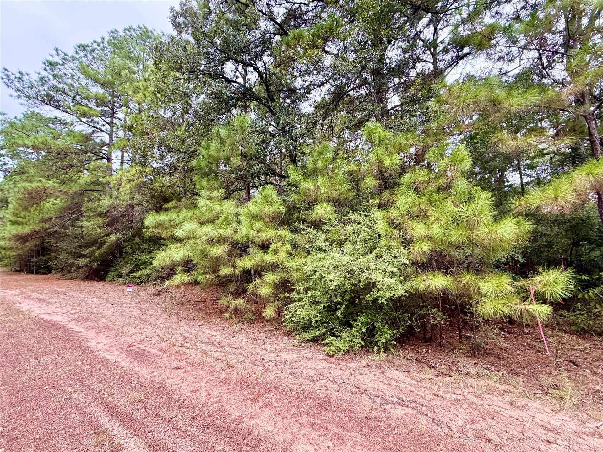 30819 Owl Drive, Hempstead, TX 77445