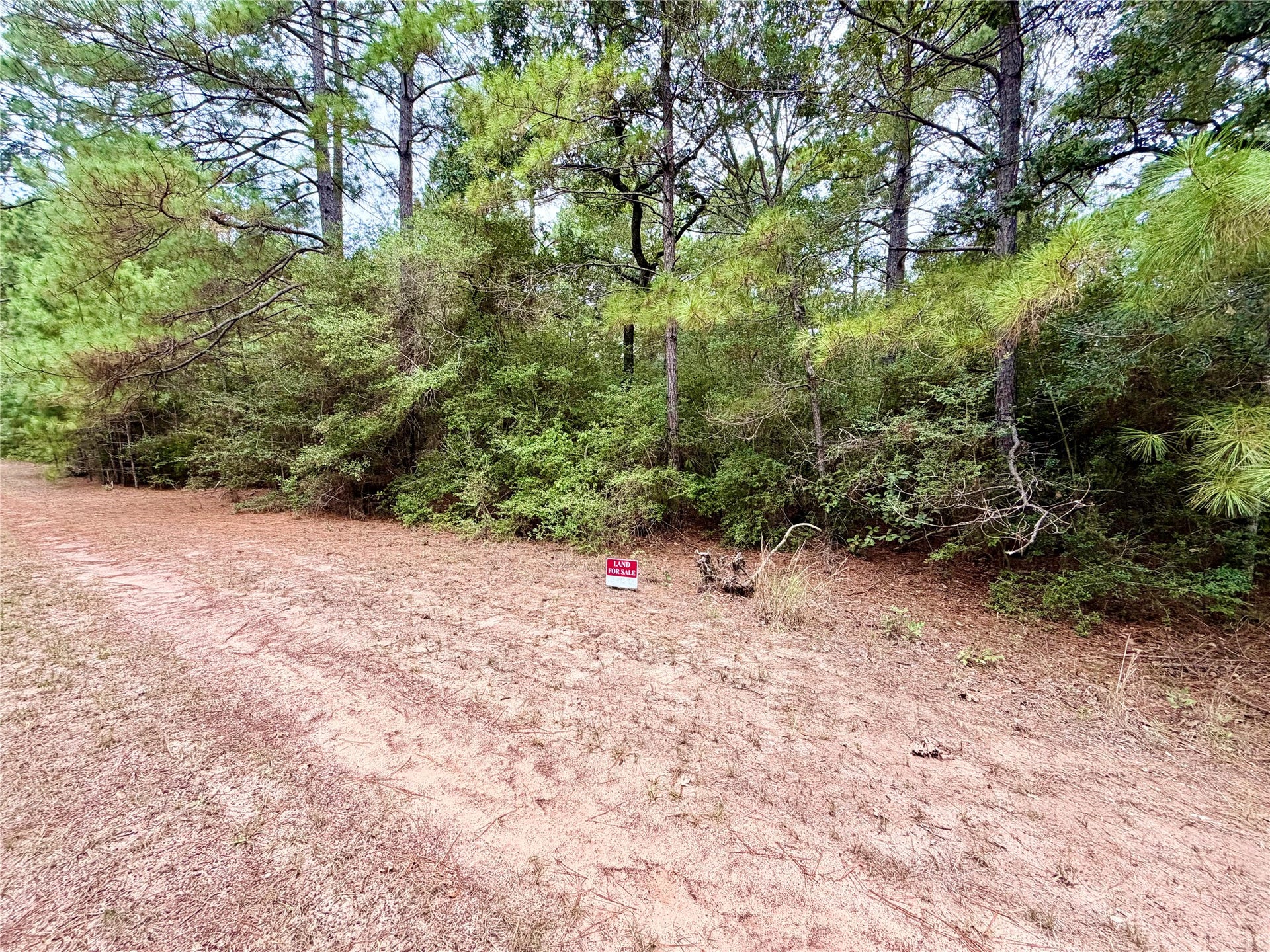 30819 Owl Drive, Hempstead, TX 77445