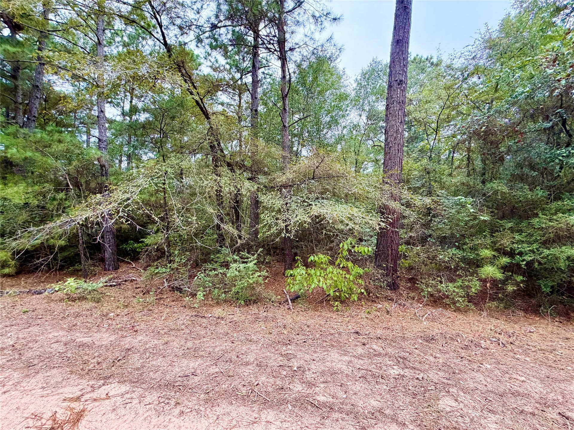 30819 Owl Drive, Hempstead, TX 77445