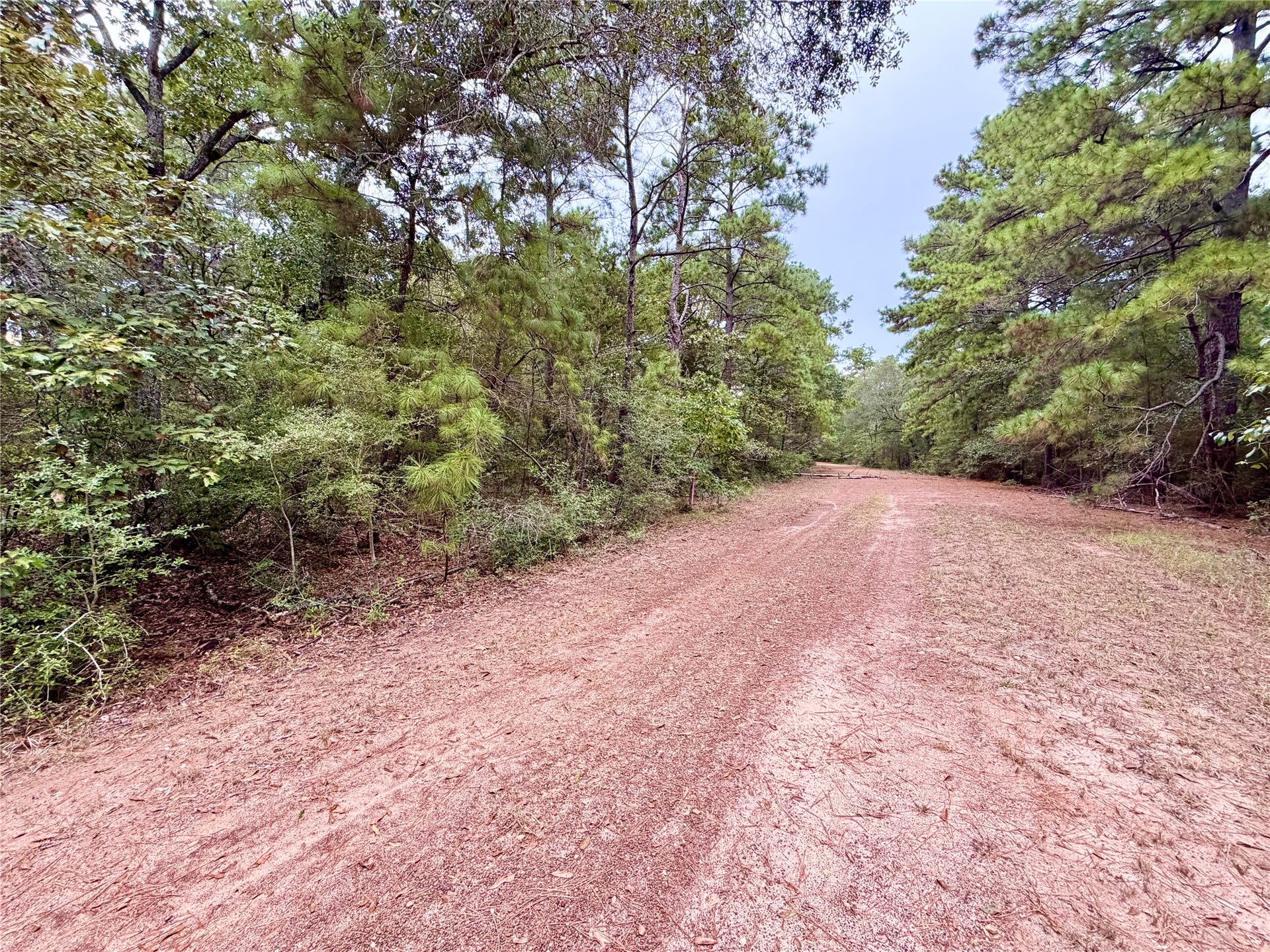 30819 Owl Drive, Hempstead, TX 77445