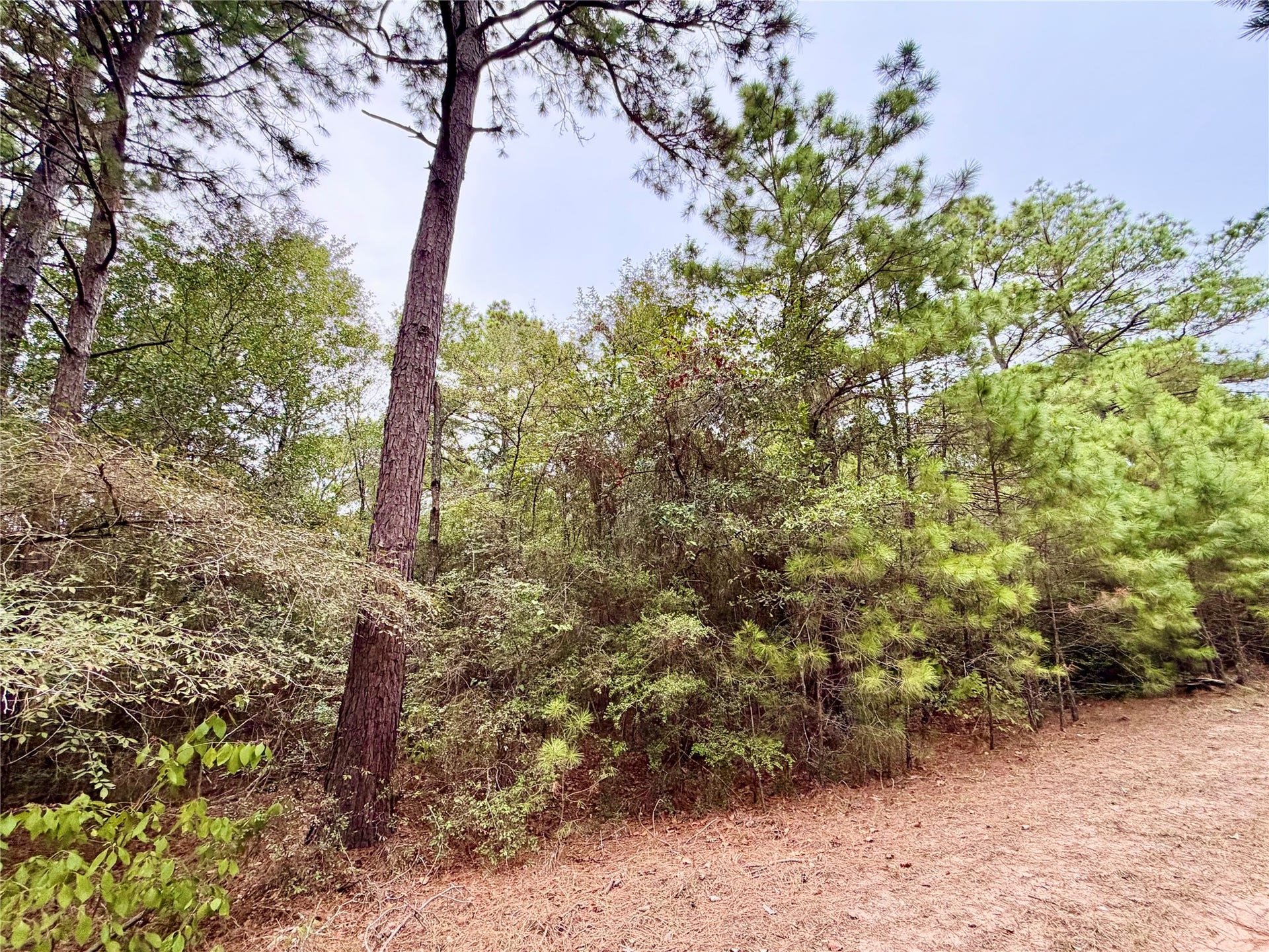 30819 Owl Drive, Hempstead, TX 77445
