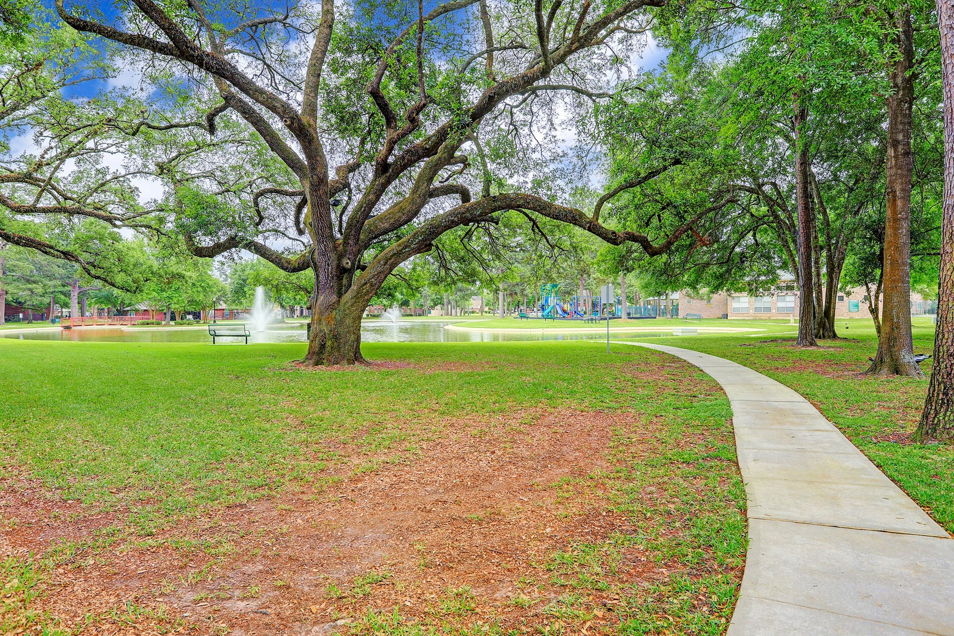 11510 Pecan Canyon Court, Tomball, TX 77377 Lakewood Grove Park is flanked with centuries old oak trees!