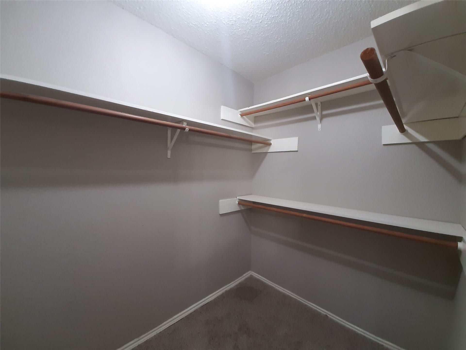 8406 Woodland Willows Drive, Houston, TX 77083 8406 Woodland Willows Drive, Houston, TX 77083