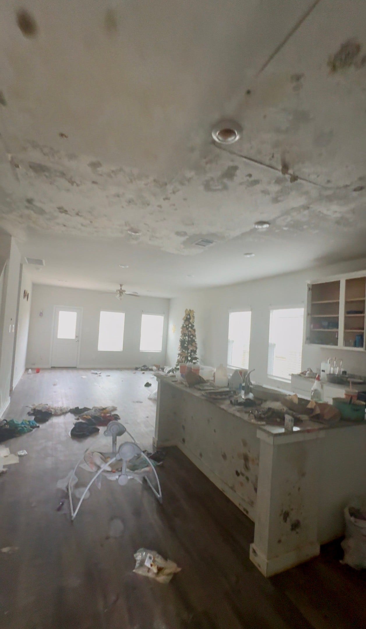 25058 Pomegranate Place, Montgomery, TX 77316 25058 Pomegranate Place, Montgomery, TX 77316