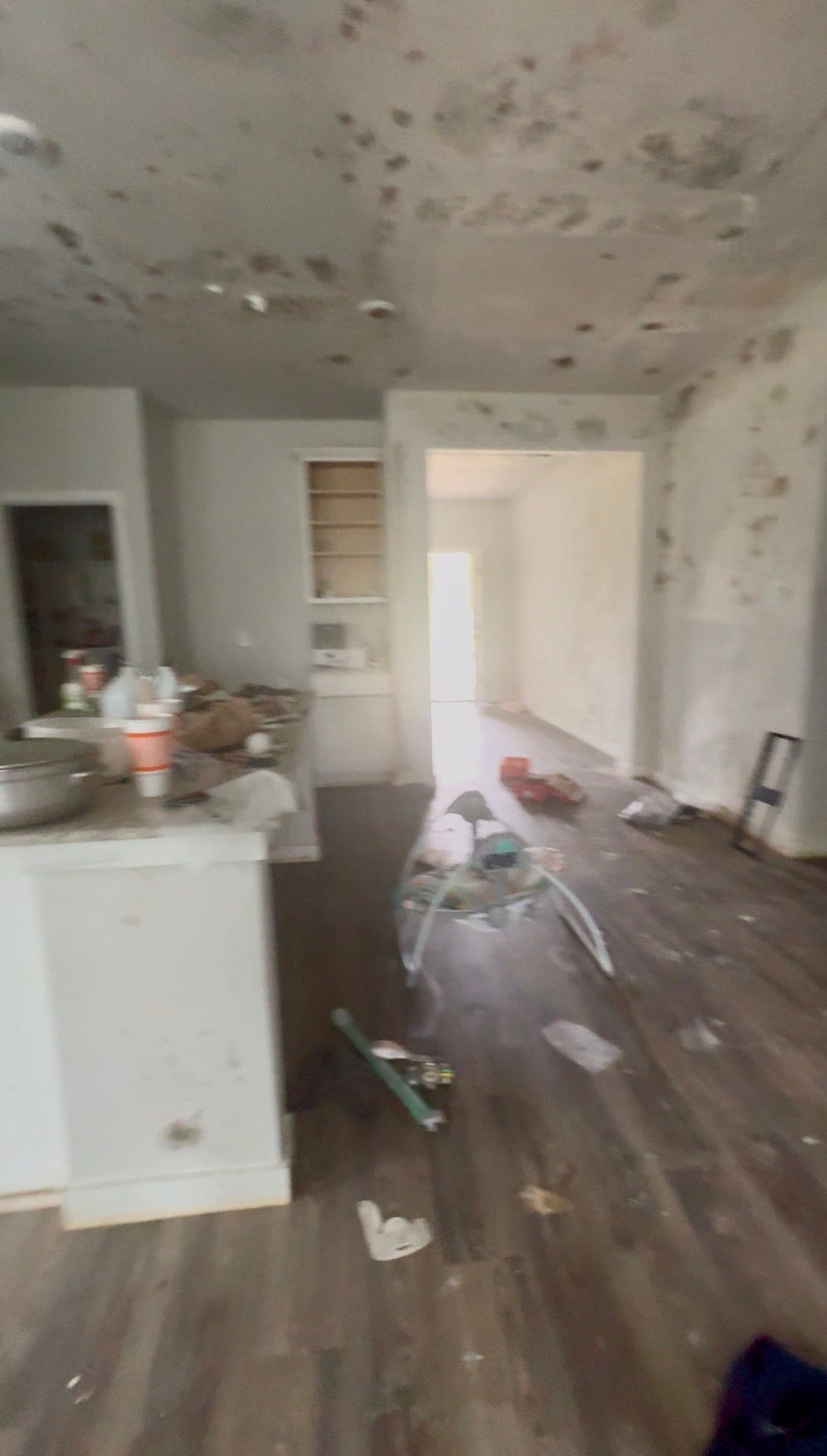 25058 Pomegranate Place, Montgomery, TX 77316 25058 Pomegranate Place, Montgomery, TX 77316