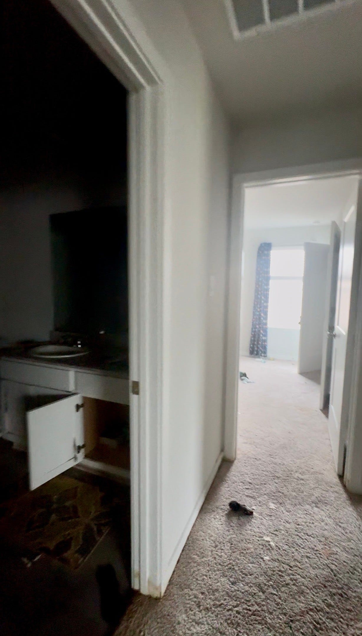 25058 Pomegranate Place, Montgomery, TX 77316 25058 Pomegranate Place, Montgomery, TX 77316