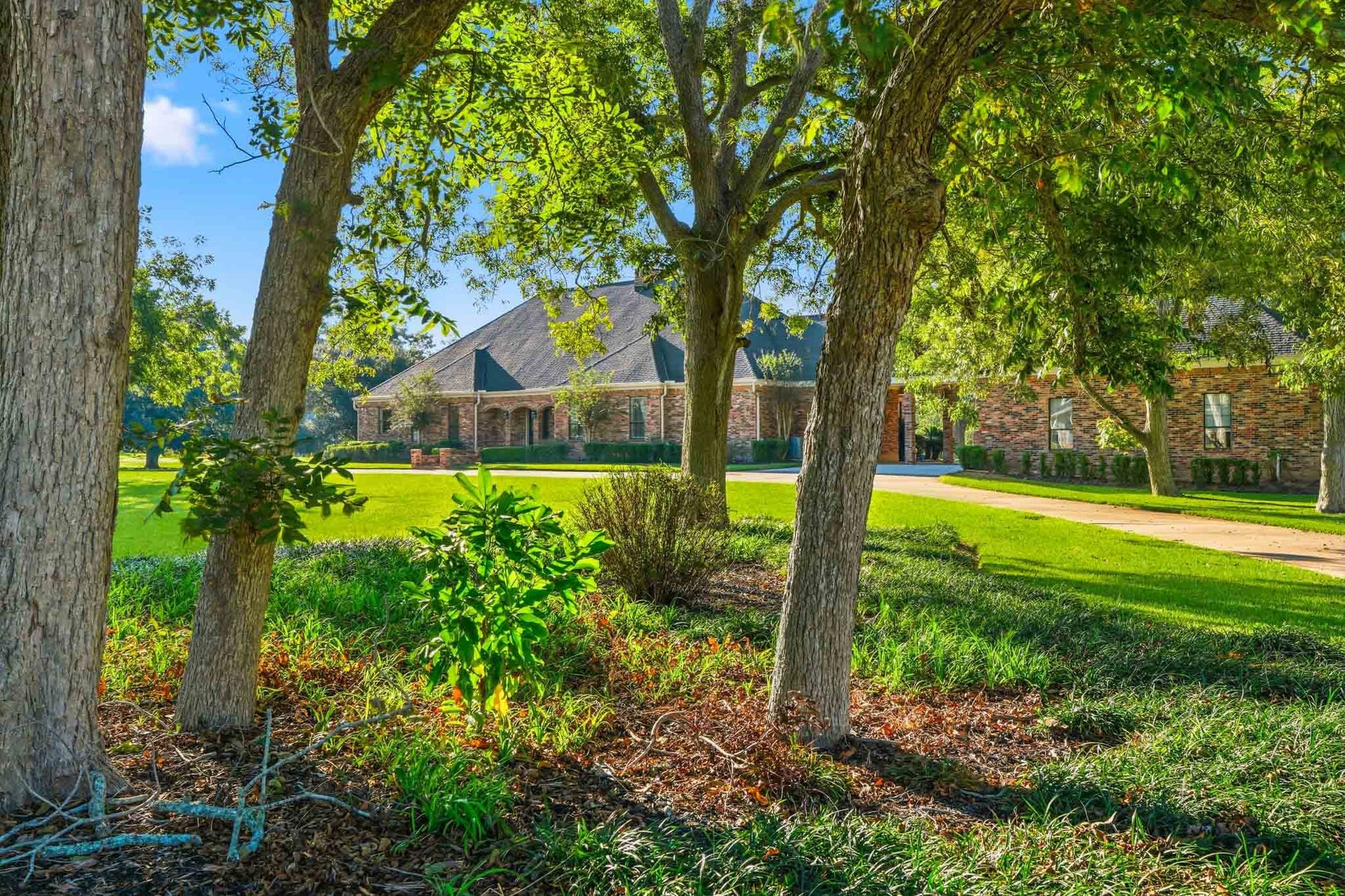 218 Bella Vista Drive, Richmond, TX 77406 Stunning brick home set amidst lush greenery, offering serene views and ample privacy with mature trees and a well-maintained lawn.