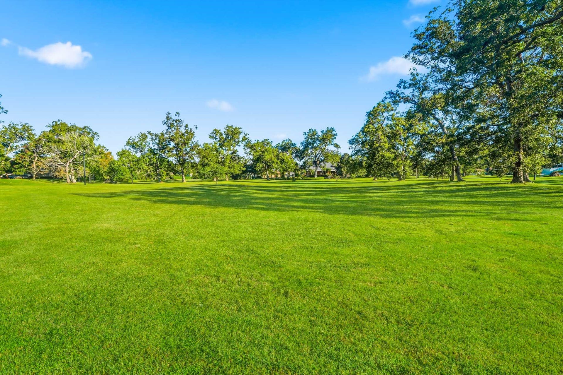 218 Bella Vista Drive, Richmond, TX 77406 Green lawn with mature trees offers a serene, park-like setting perfect for relaxation and recreation.