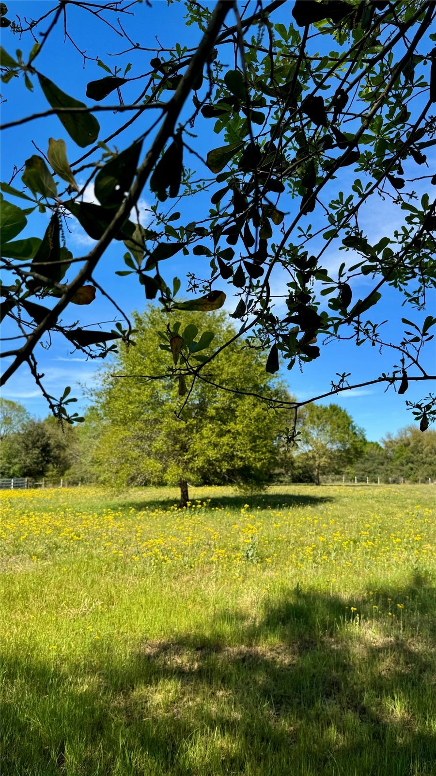 Property photo for 0 Meadow Creek Road, Hockley, TX