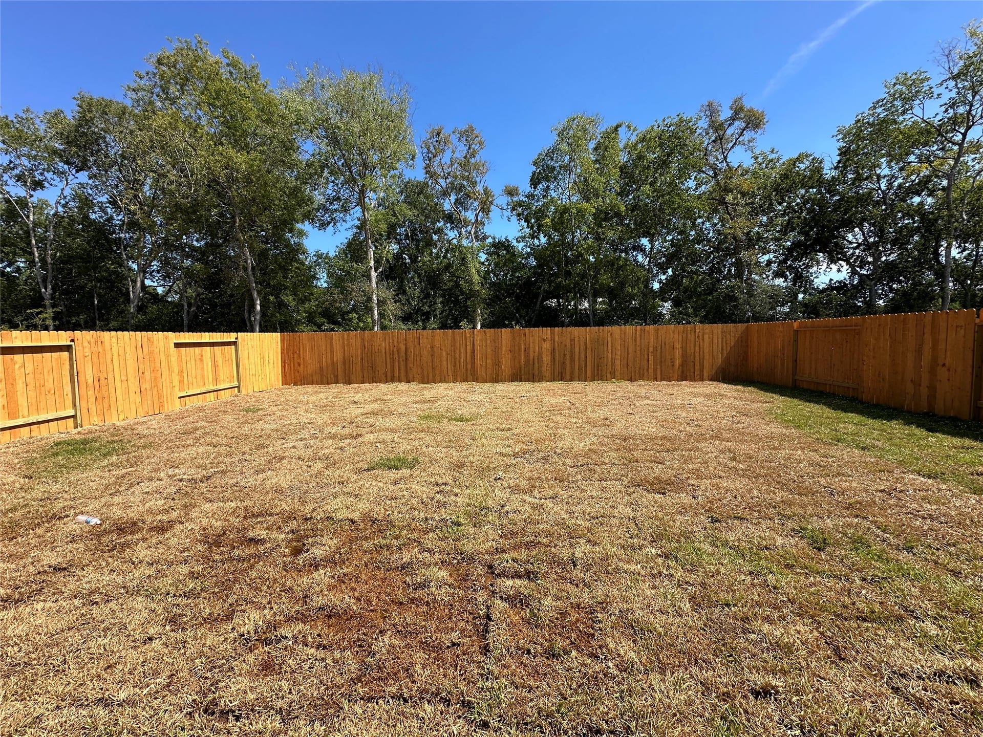 12316 Lexington Heights, Willis, TX 77318 12316 Lexington Heights, Willis, TX 77318