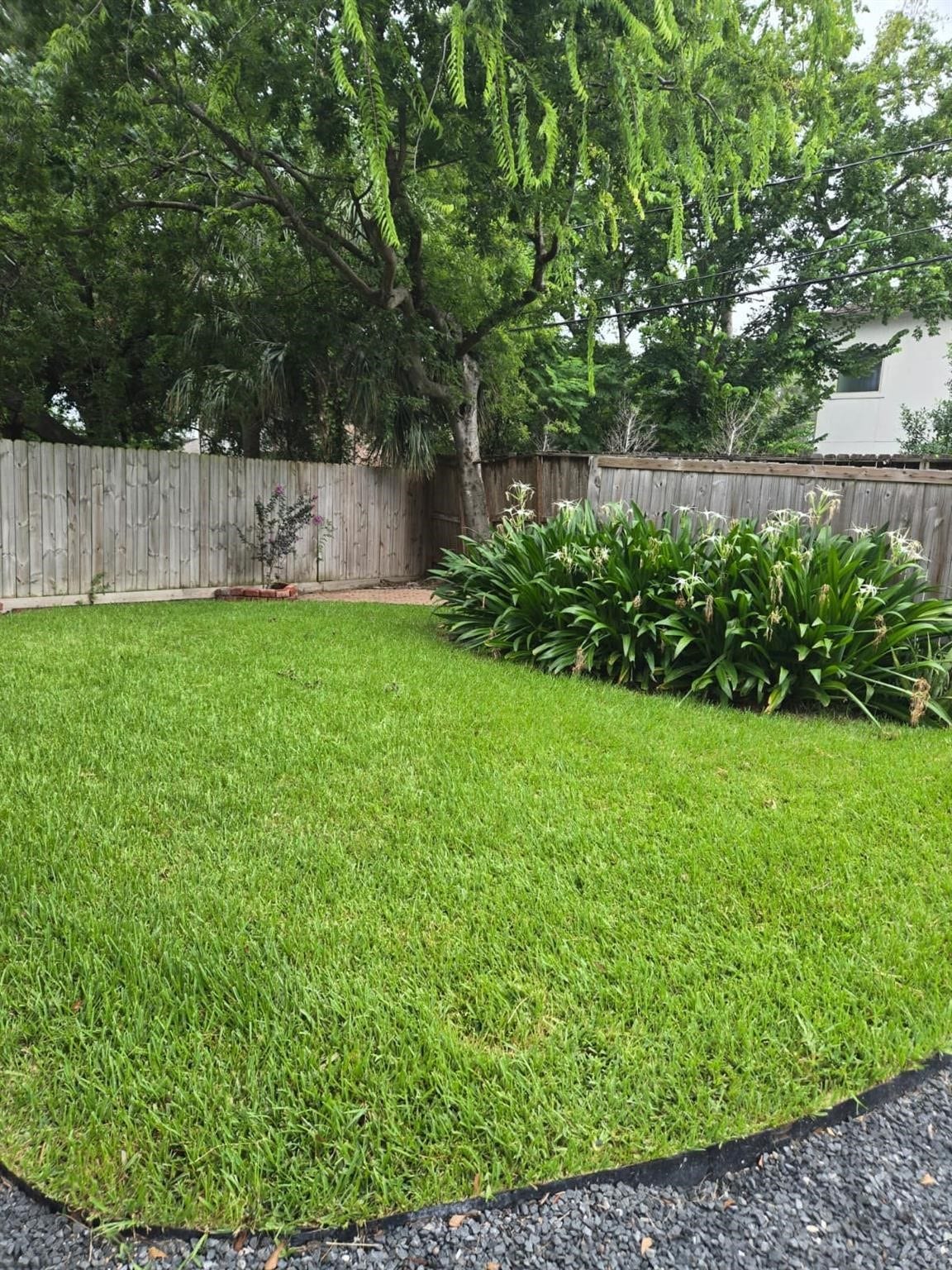 5010 Mayfair Street, Bellaire, TX 77401 5010 Mayfair Street, Bellaire, TX 77401