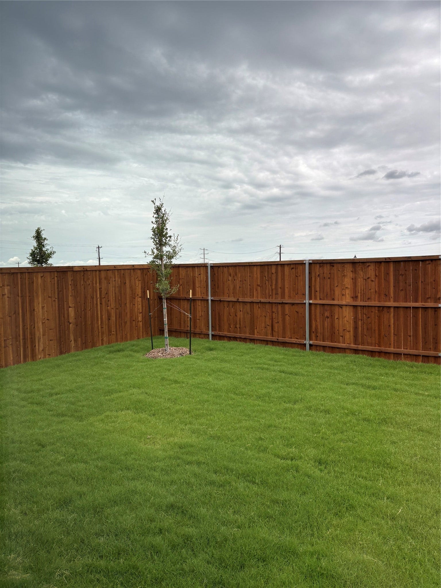12807 Shelly Lang Court, Crosby, TX 77532 12807 Shelly Lang Court, Crosby, TX 77532