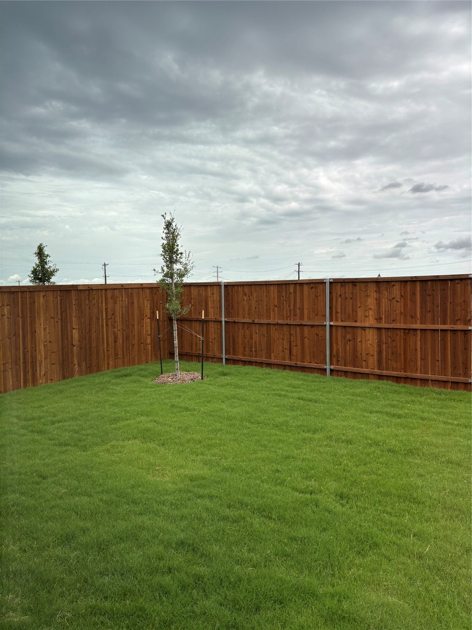 12807 Shelly Lang Court, Crosby, TX 77532 12807 Shelly Lang Court, Crosby, TX 77532