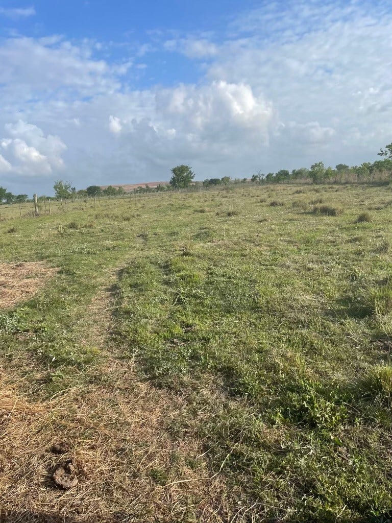 1010 county road 595 Drive, Angleton, TX 77515