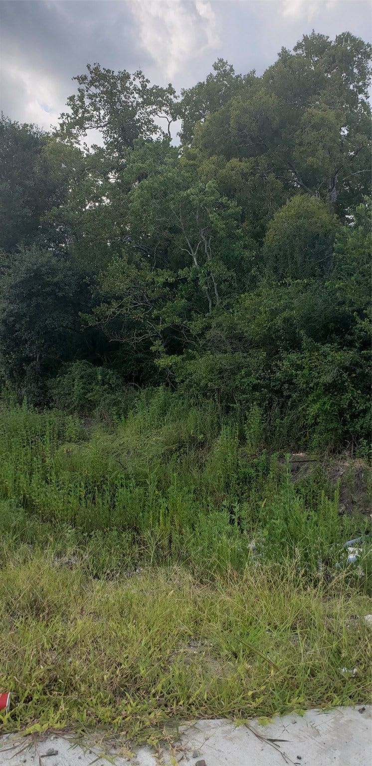 0 Fm 2234, Houston, TX 77053 0 Fm 2234, Houston, TX 77053