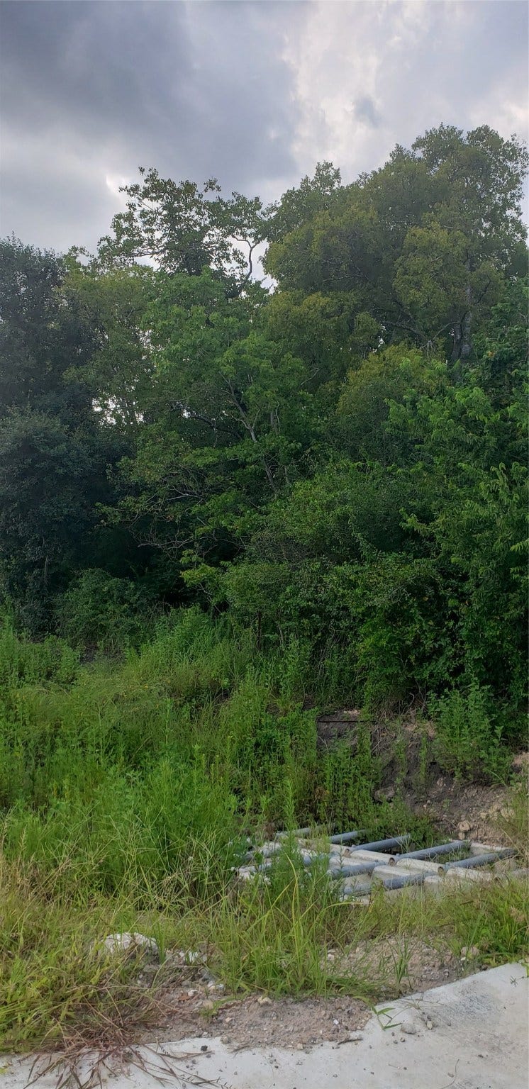 0 Fm 2234, Houston, TX 77053 0 Fm 2234, Houston, TX 77053