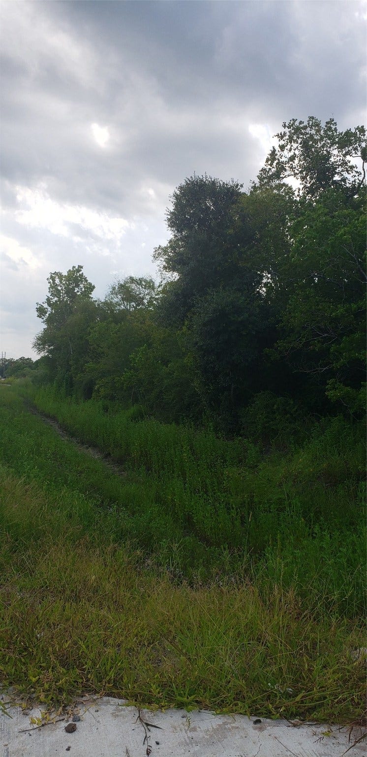 0 Fm 2234, Houston, TX 77053 0 Fm 2234, Houston, TX 77053