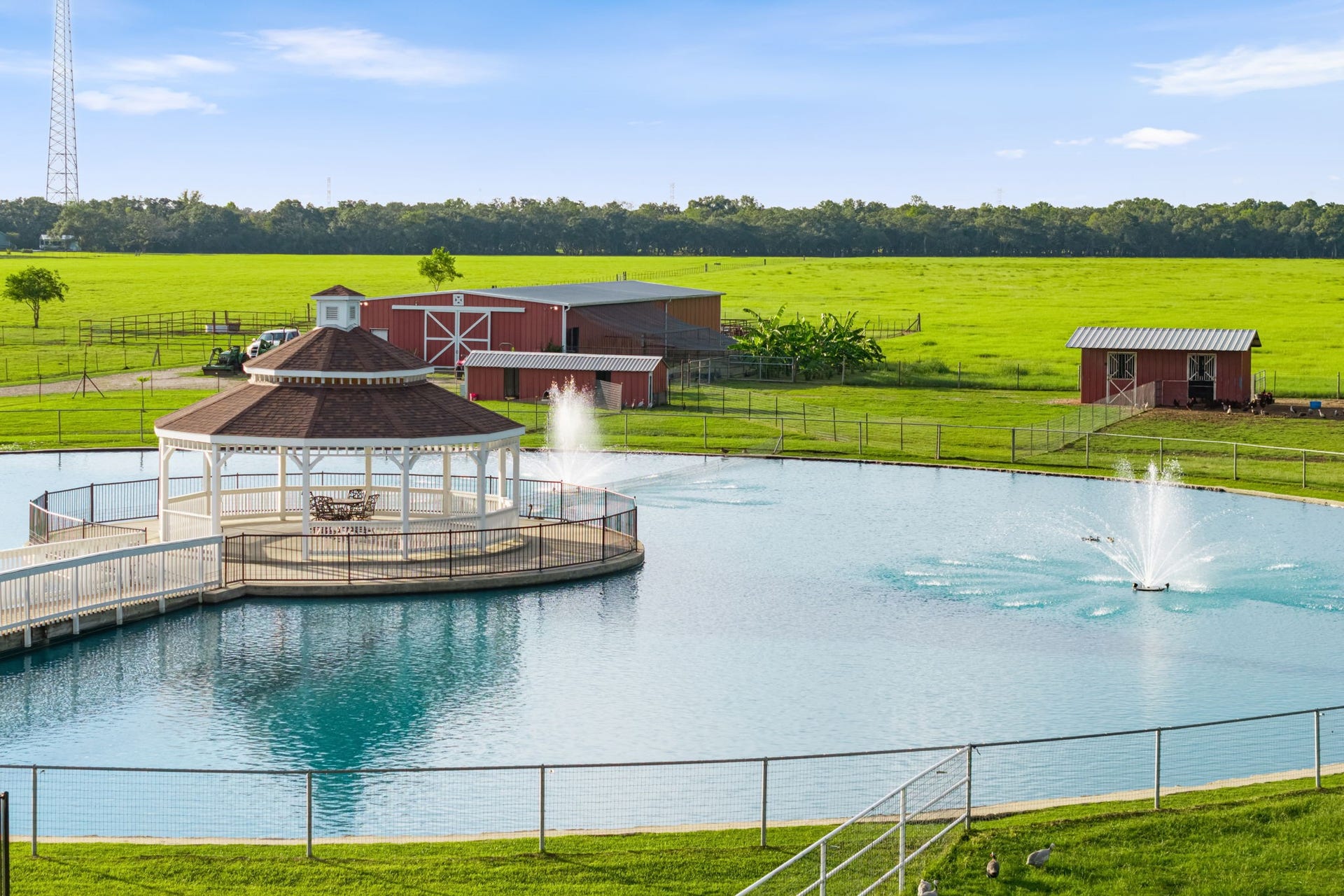 8145 Fm-1462, Rosharon, TX 77583 View of the pond with fountains, the barn, aviary and two poultry houses.