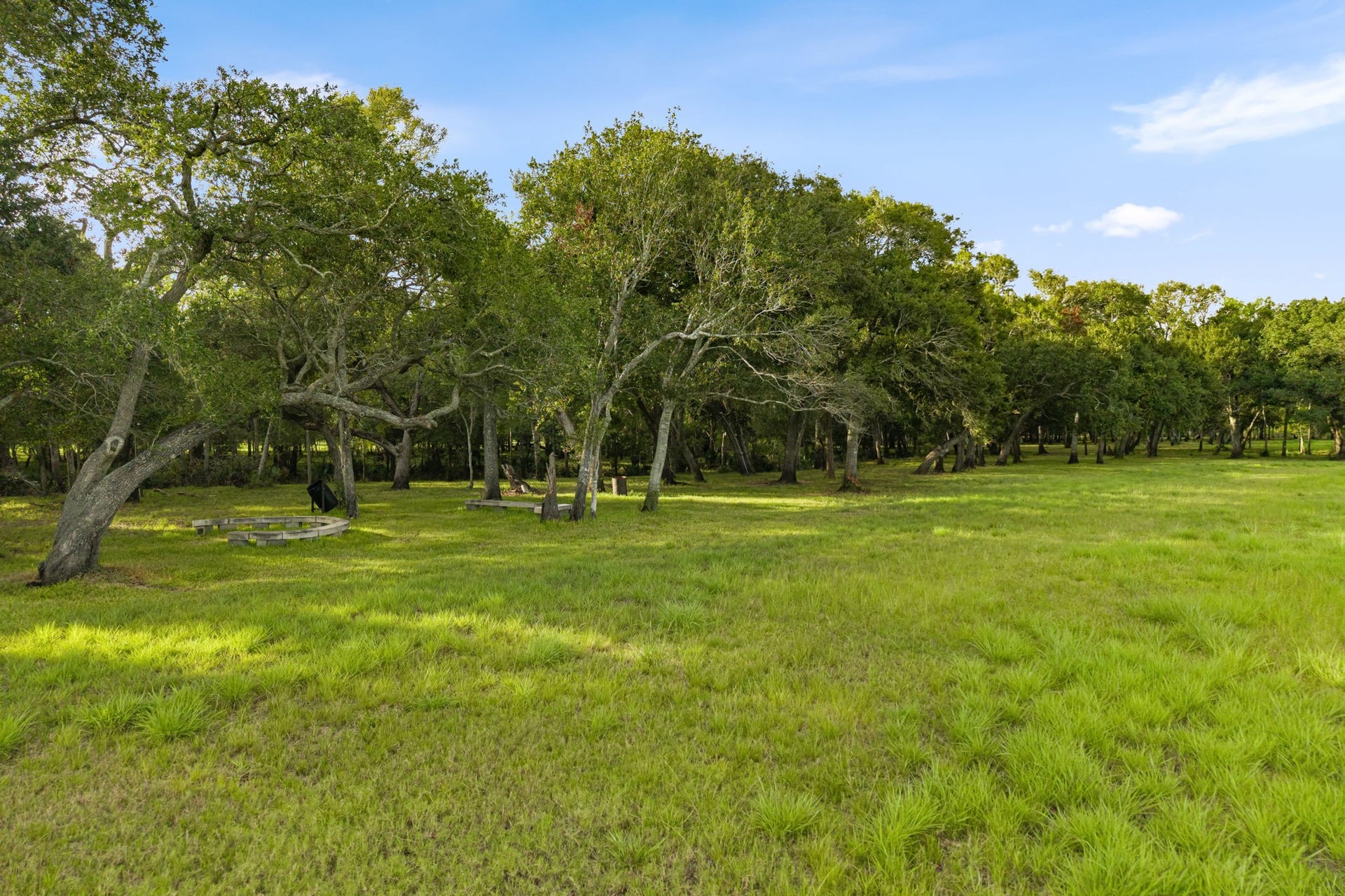 8145 Fm-1462, Rosharon, TX 77583 Another view of the back 30 acres with sprawling live oaks and cleared trails. The property has a BBQ pit area and seating set under the oaks.