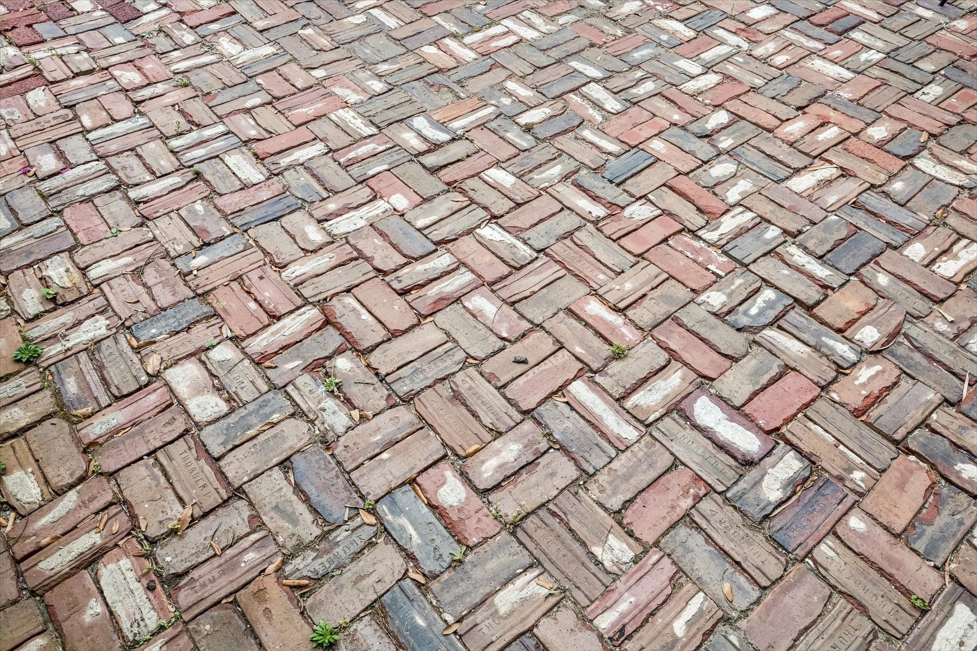 1818 Broadway Street, Galveston, TX 77550 Vintage brick was used to create the backyard patio space