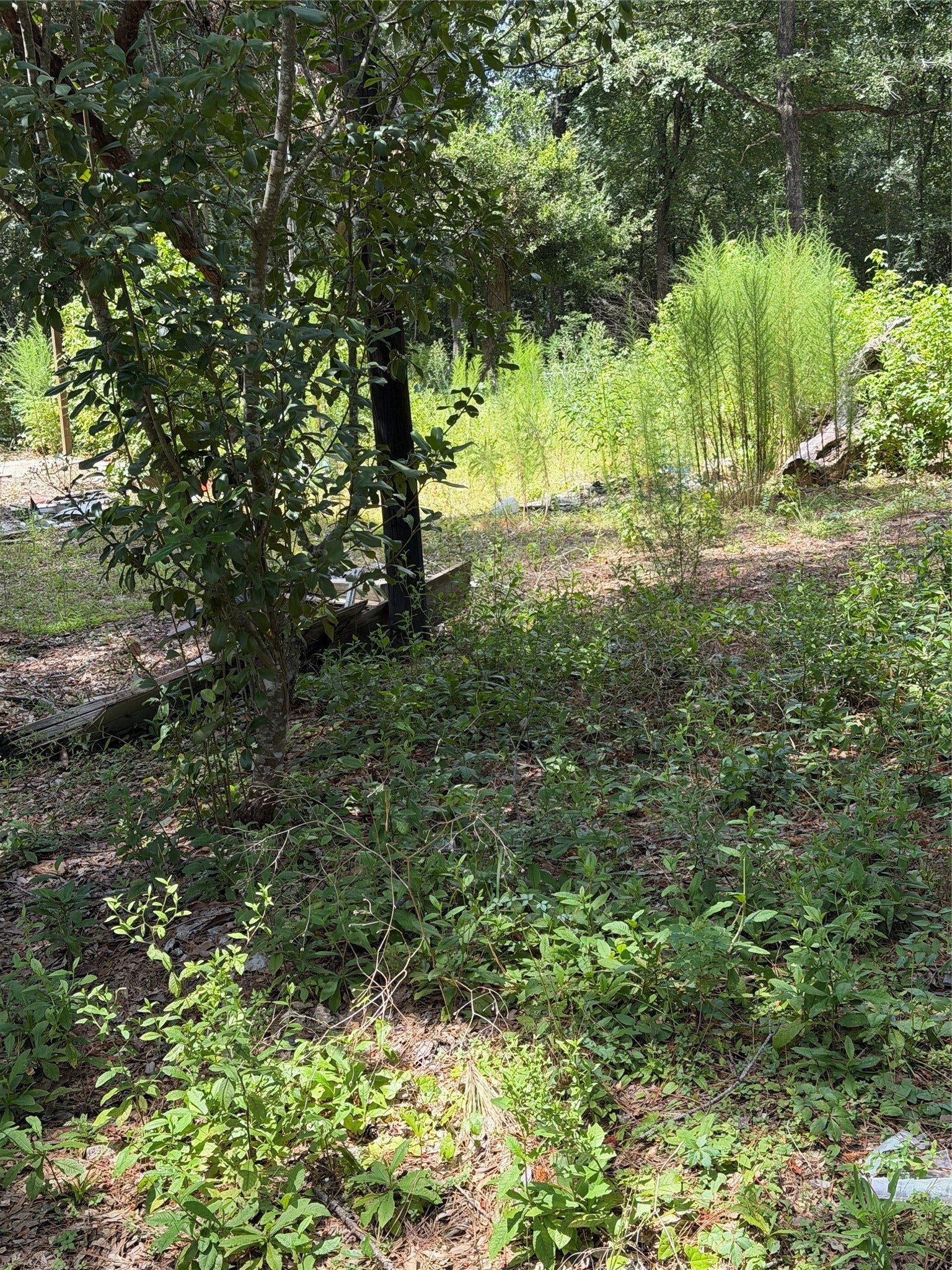630 S Fm 1486 Road, Montgomery, TX 77316 630 S Fm 1486 Road, Montgomery, TX 77316