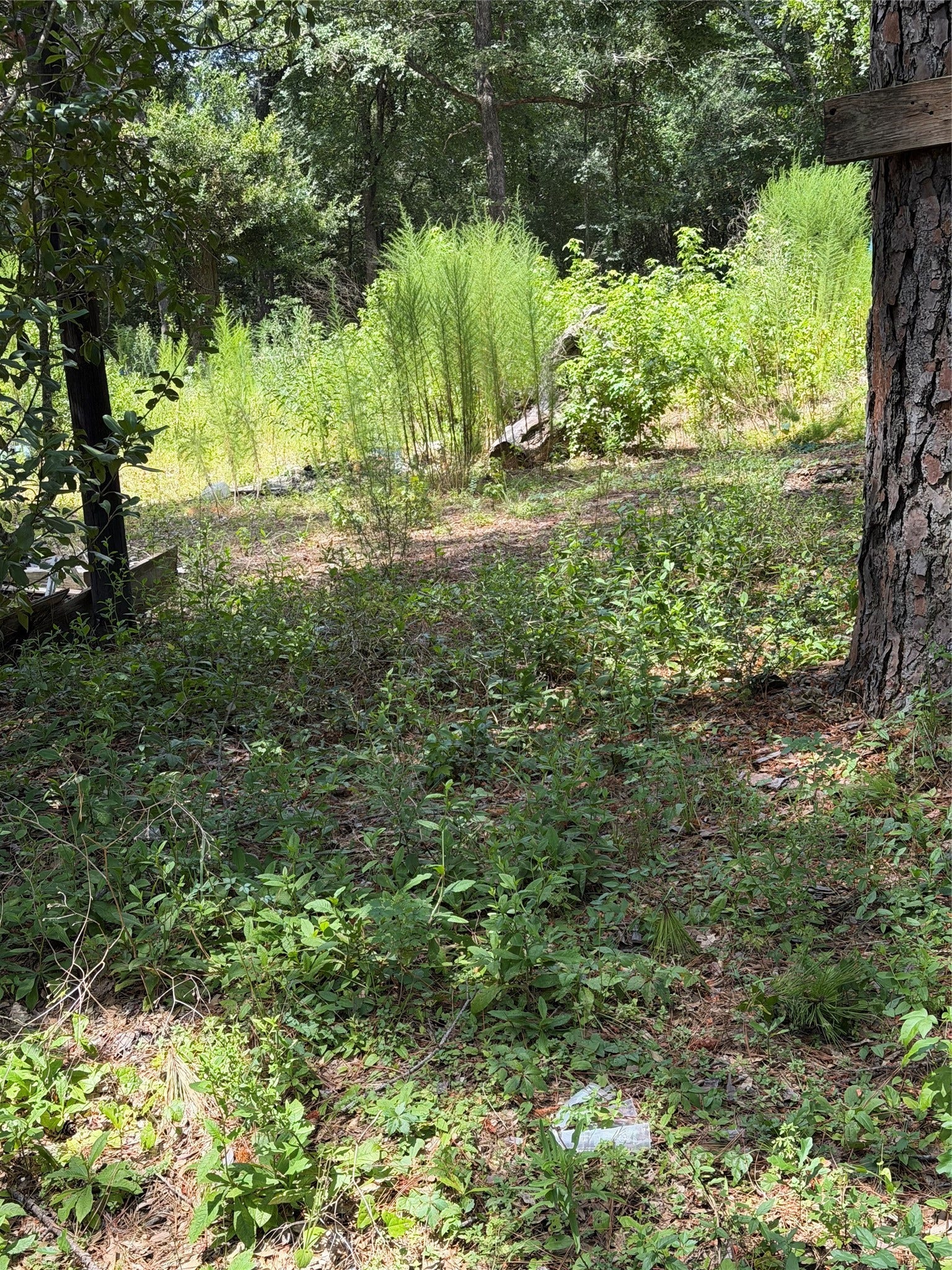 630 S Fm 1486 Road, Montgomery, TX 77316 630 S Fm 1486 Road, Montgomery, TX 77316