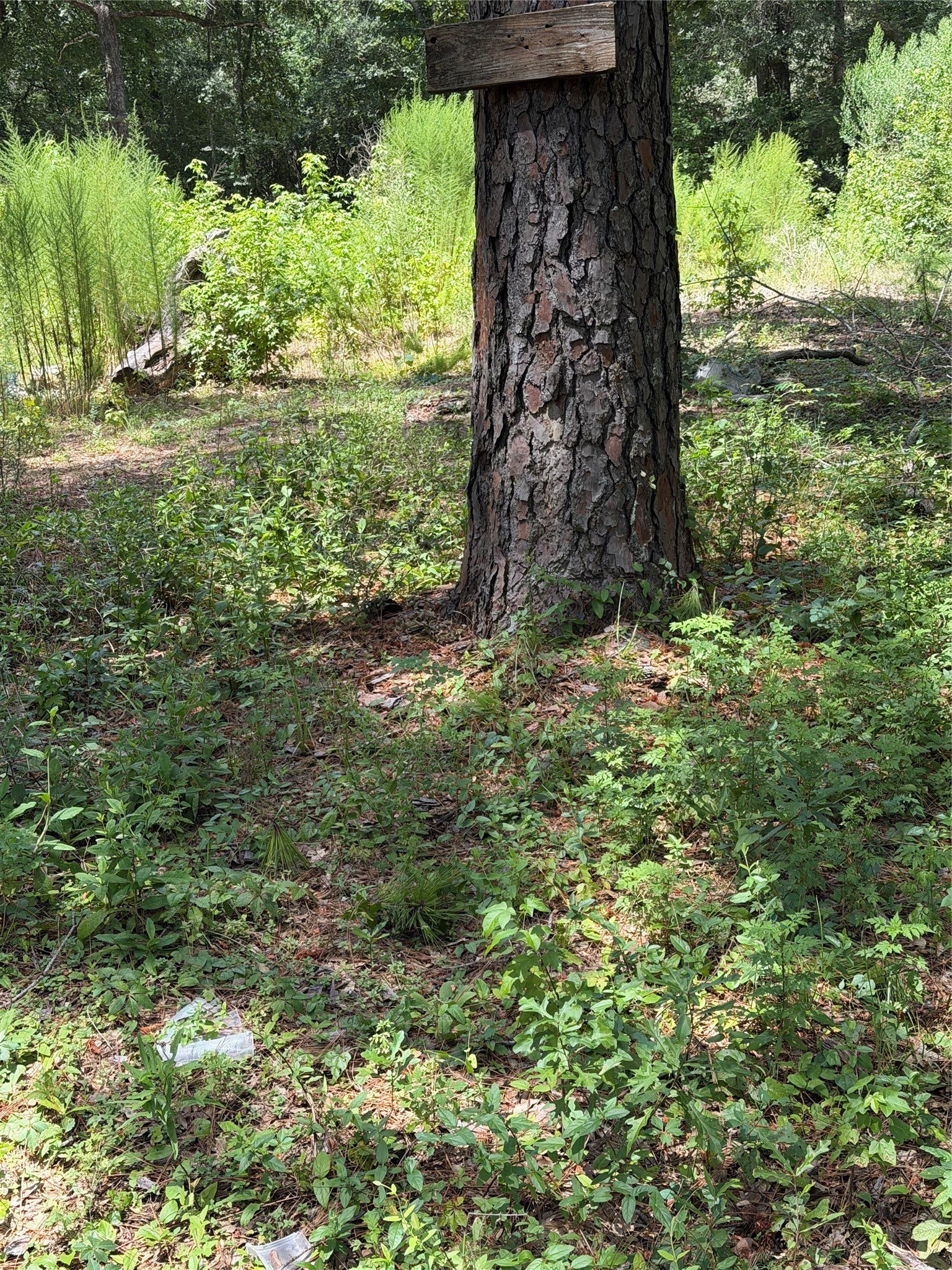 630 S Fm 1486 Road, Montgomery, TX 77316 630 S Fm 1486 Road, Montgomery, TX 77316