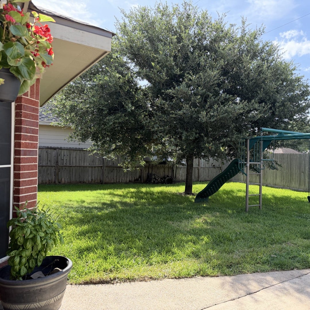 3530 Dry Creek Drive, Pasadena, TX 77505 3530 Dry Creek Drive, Pasadena, TX 77505