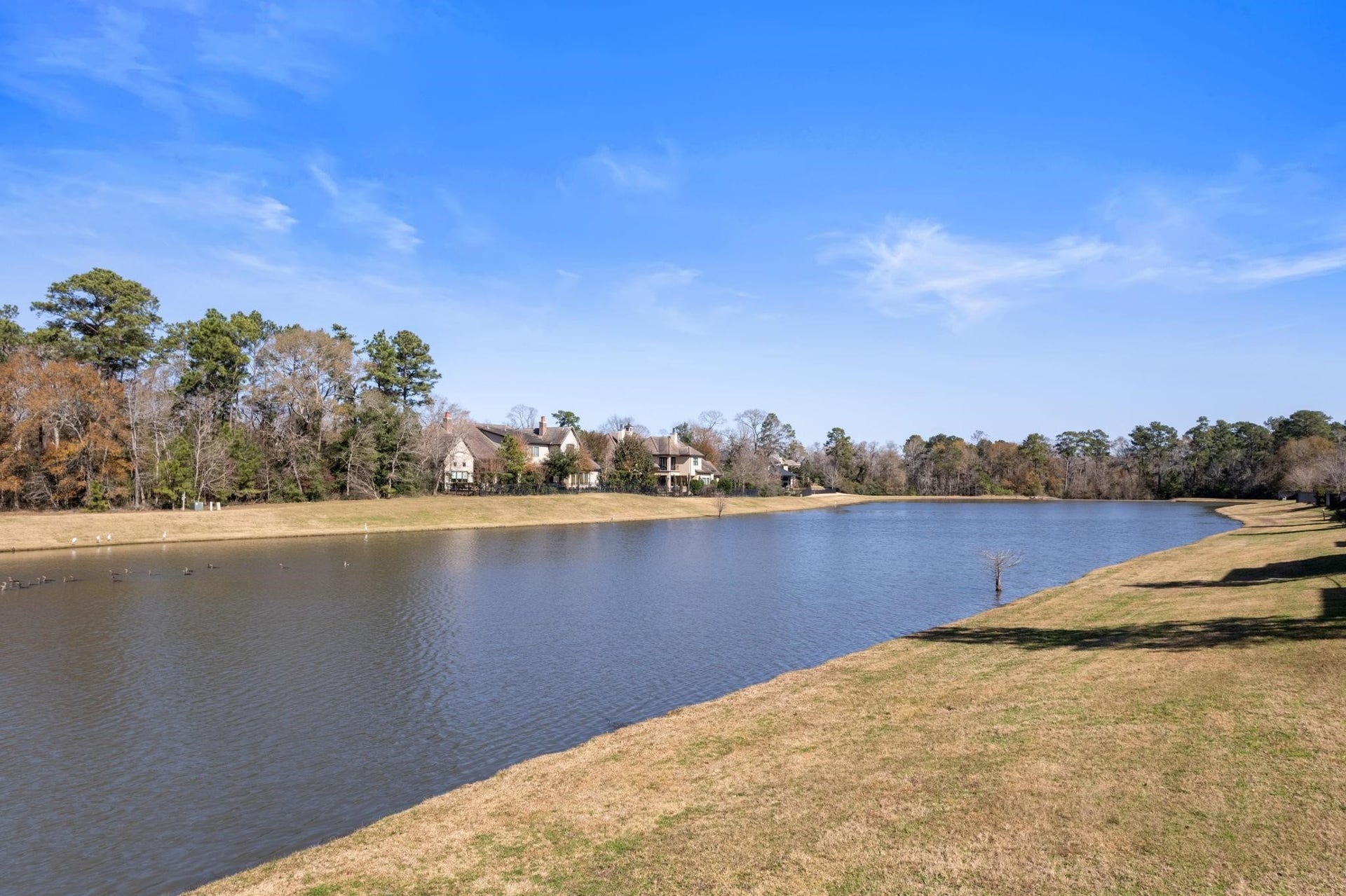 46 Pronghorn Place, Spring, TX 77389 46 Pronghorn Place, Spring, TX 77389