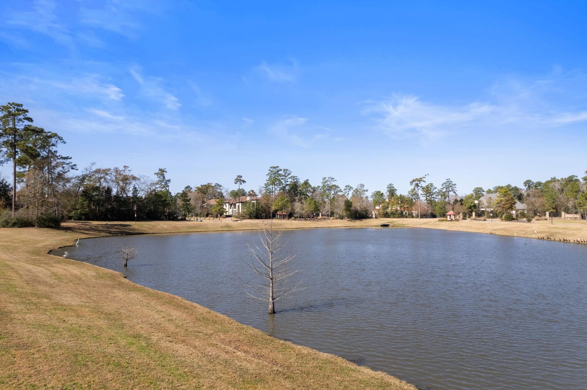 46 Pronghorn Place, Spring, TX 77389 46 Pronghorn Place, Spring, TX 77389