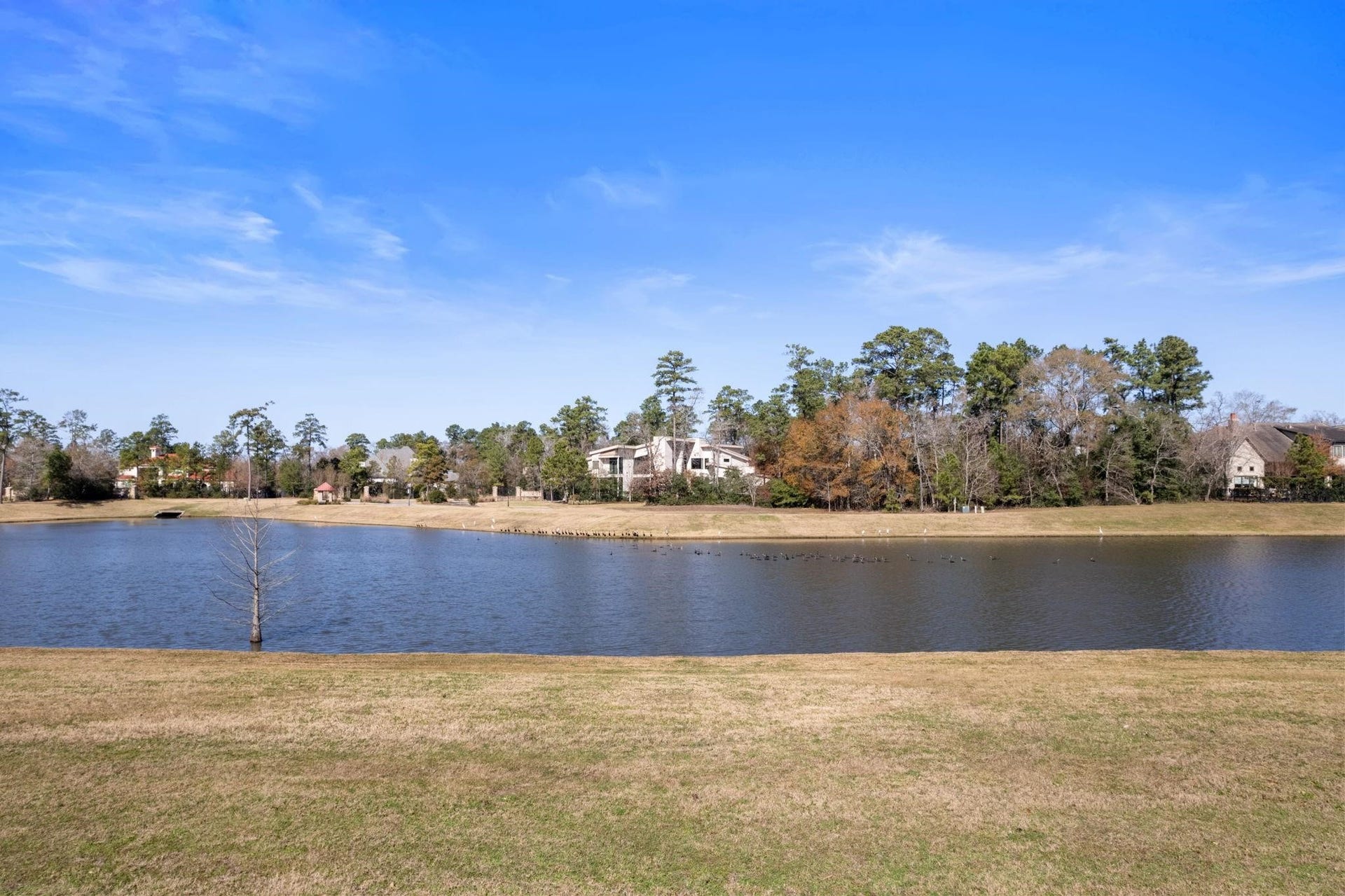 46 Pronghorn Place, Spring, TX 77389 46 Pronghorn Place, Spring, TX 77389