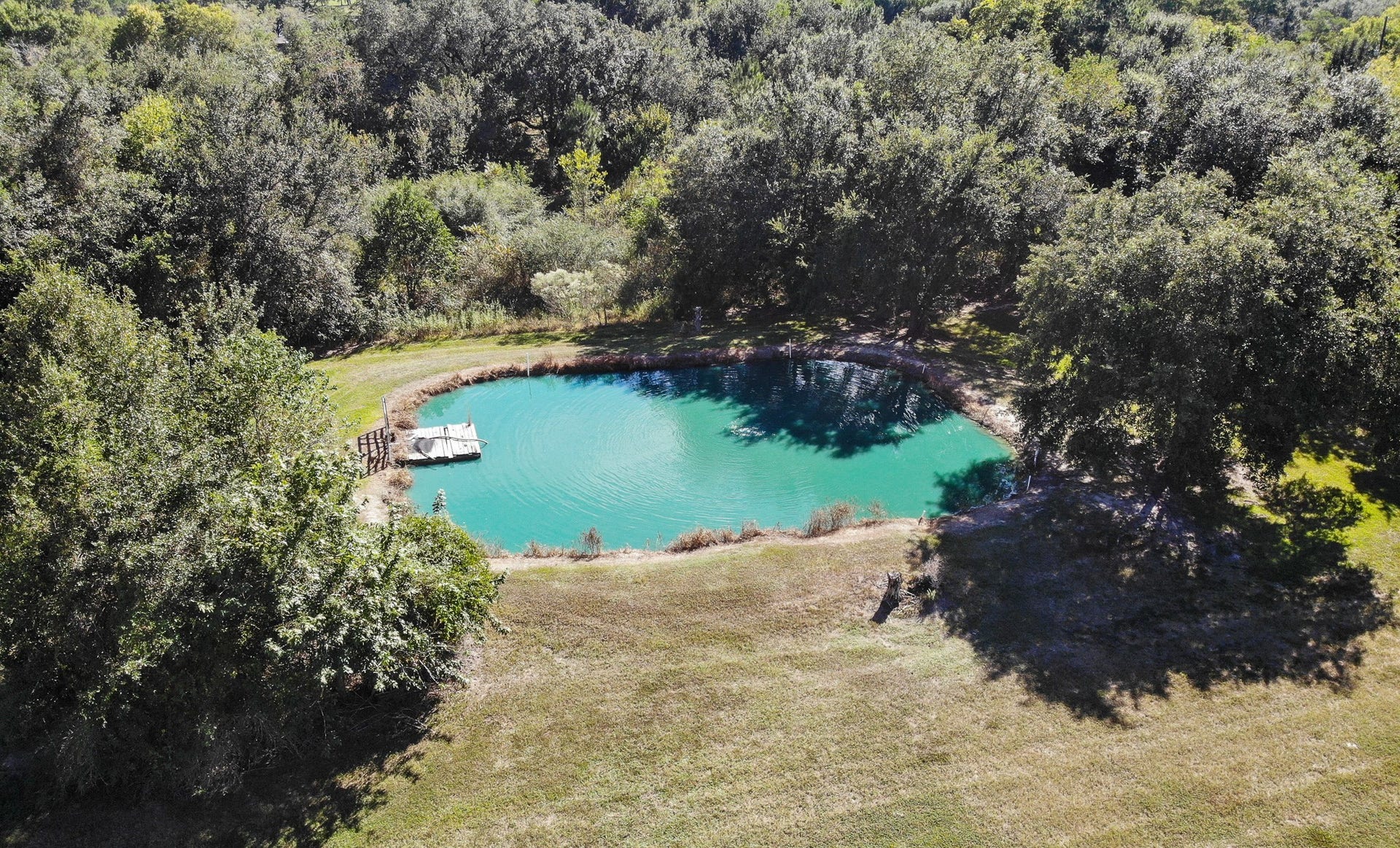 4430 Spears Road, #CR872, Manvel, TX 77578 4430 Spears Road, #CR872, Manvel, TX 77578