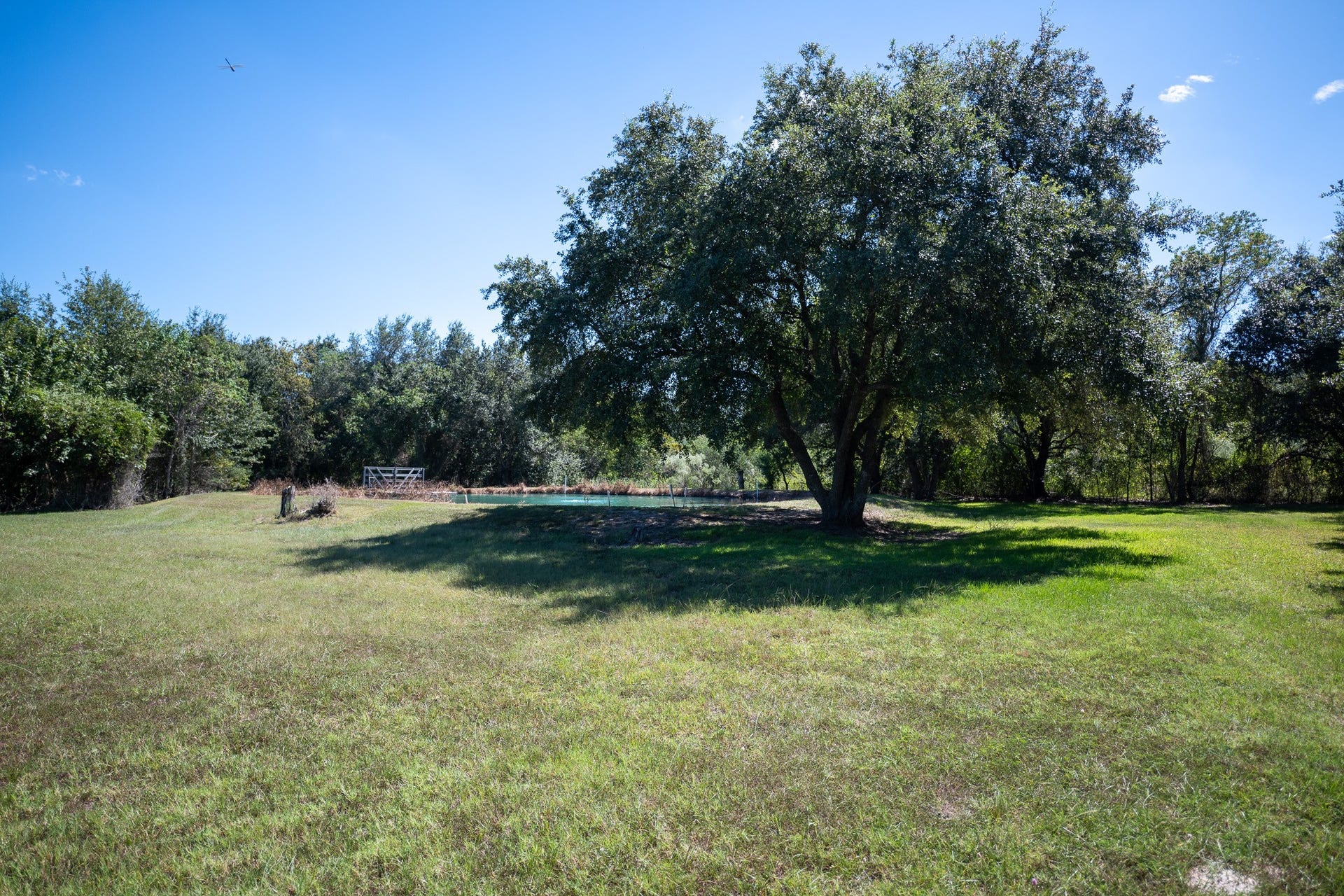 4430 Spears Road, #CR872, Manvel, TX 77578 4430 Spears Road, #CR872, Manvel, TX 77578