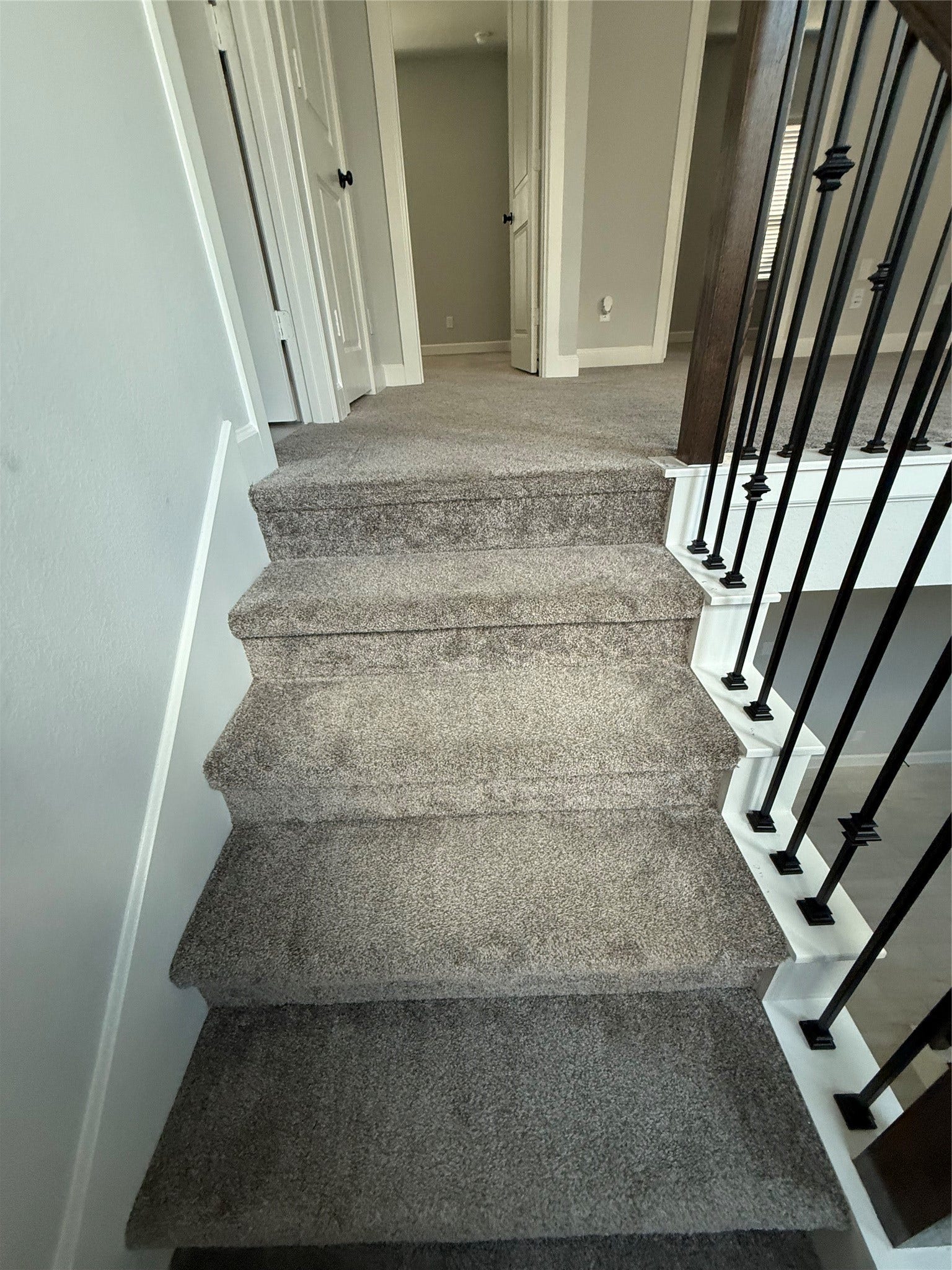 10526 William Park Drive, Missouri City, TX 77459 Carpeted stairs lead to a hallway with multiple doors, featuring elegant iron railings and neutral-toned walls.