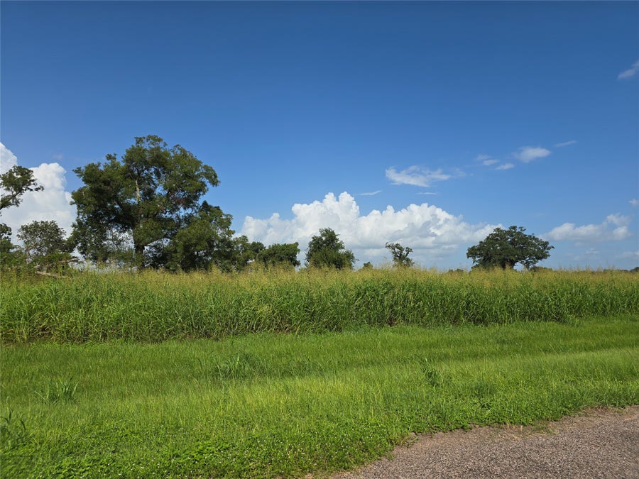 Property photo for 17018 Dewberry Lane, Rosharon, TX
