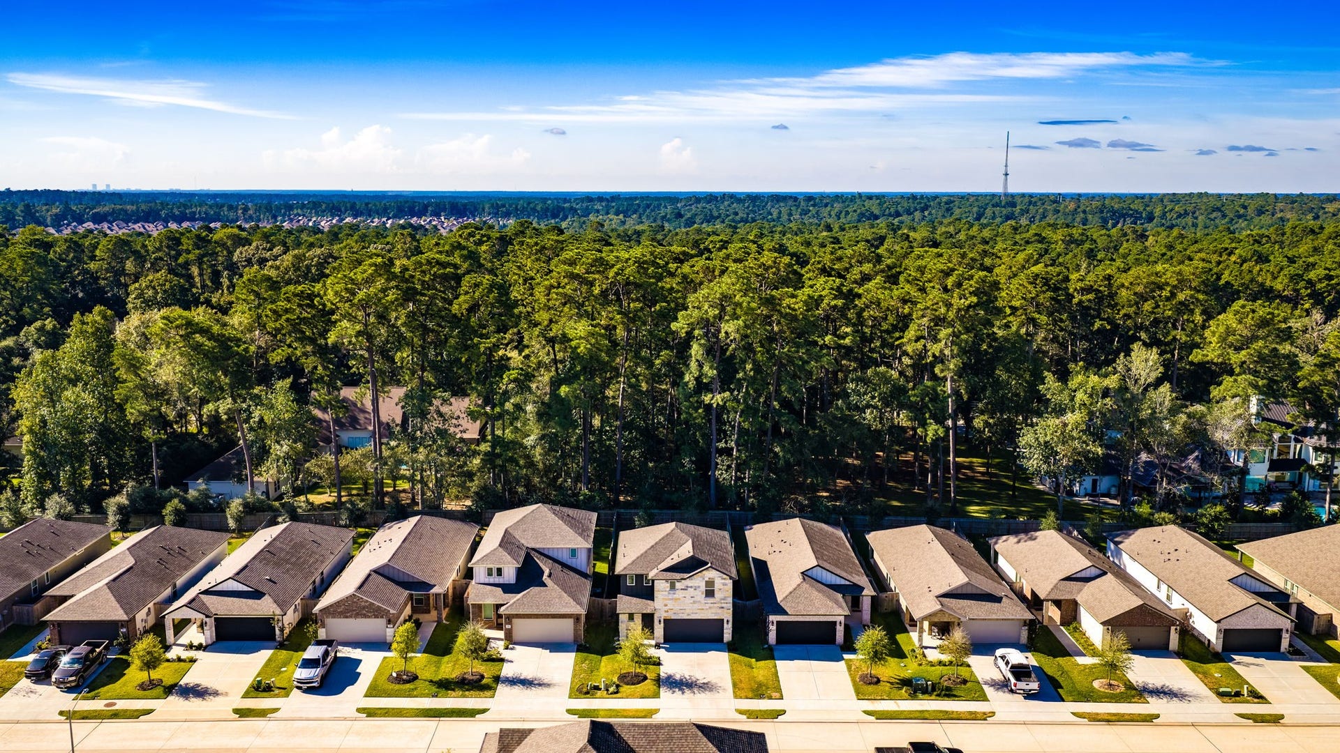 1745 Succotash Oak Court, Conroe, TX 77304 1745 Succotash Oak Court, Conroe, TX 77304