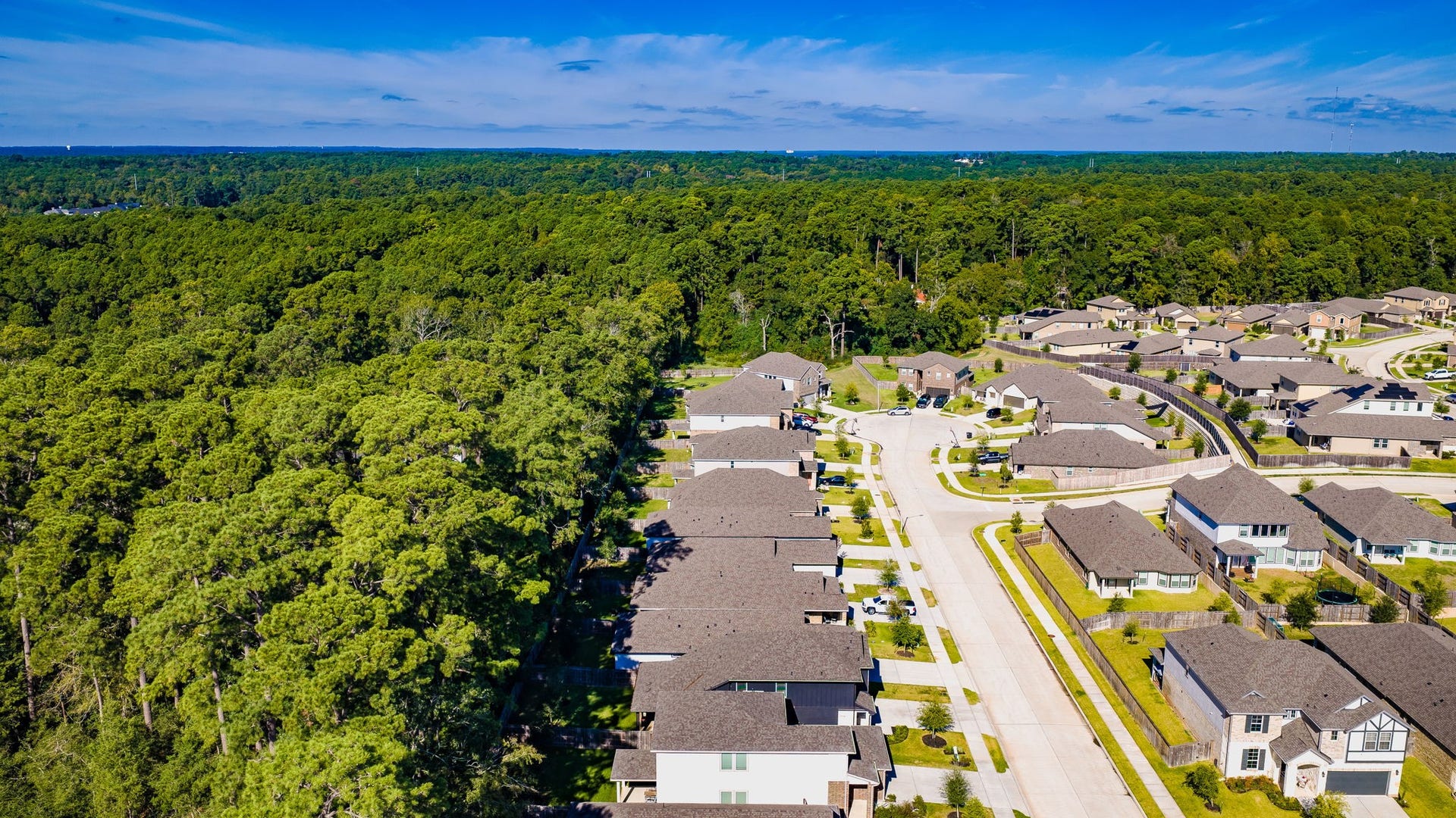 1745 Succotash Oak Court, Conroe, TX 77304 1745 Succotash Oak Court, Conroe, TX 77304