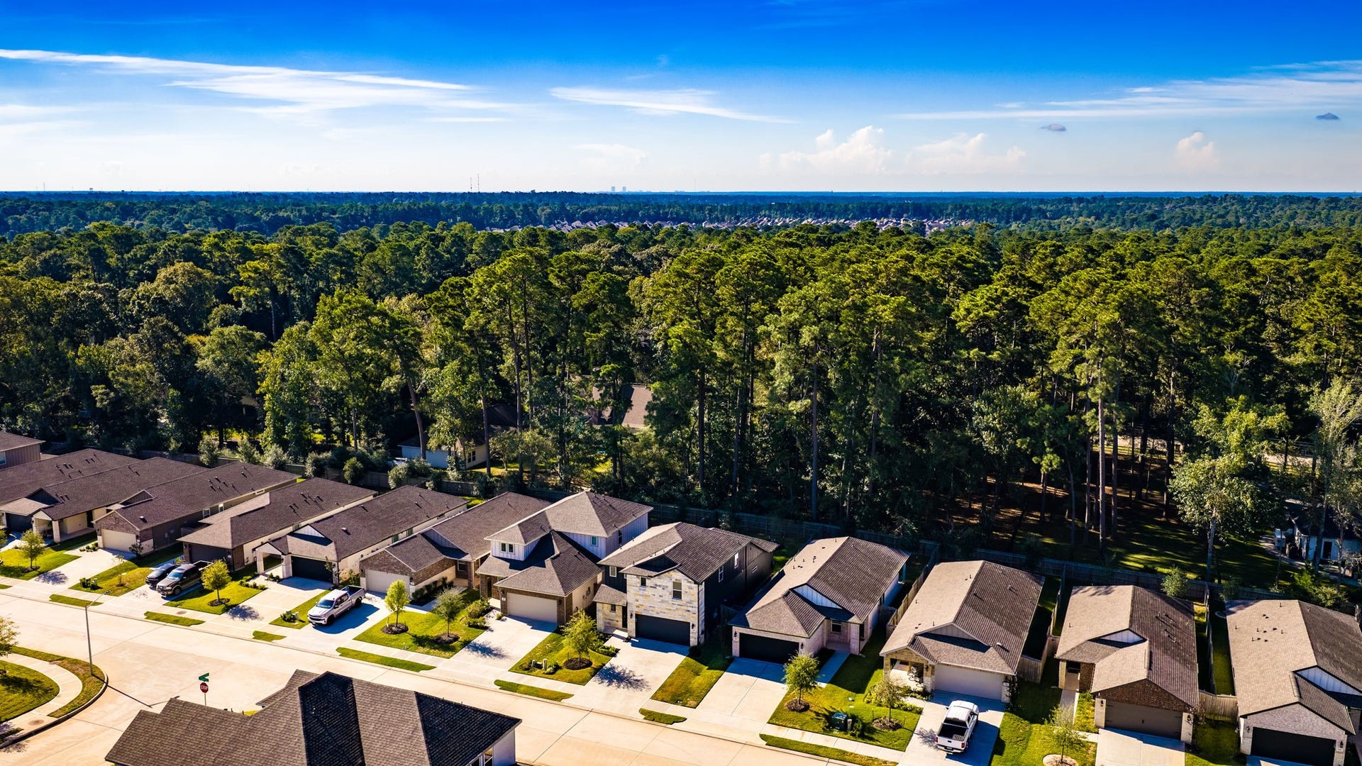 1745 Succotash Oak Court, Conroe, TX 77304 1745 Succotash Oak Court, Conroe, TX 77304